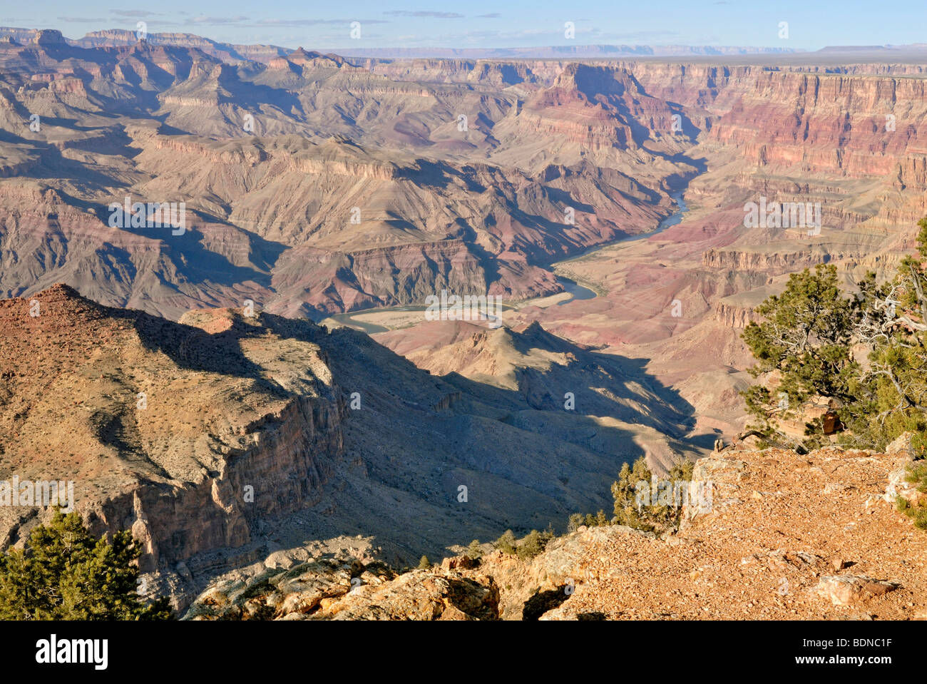 Vista del fiume Colorado, vista nel deserto, il Parco Nazionale del Grand Canyon, Arizona, Stati Uniti d'America Foto Stock