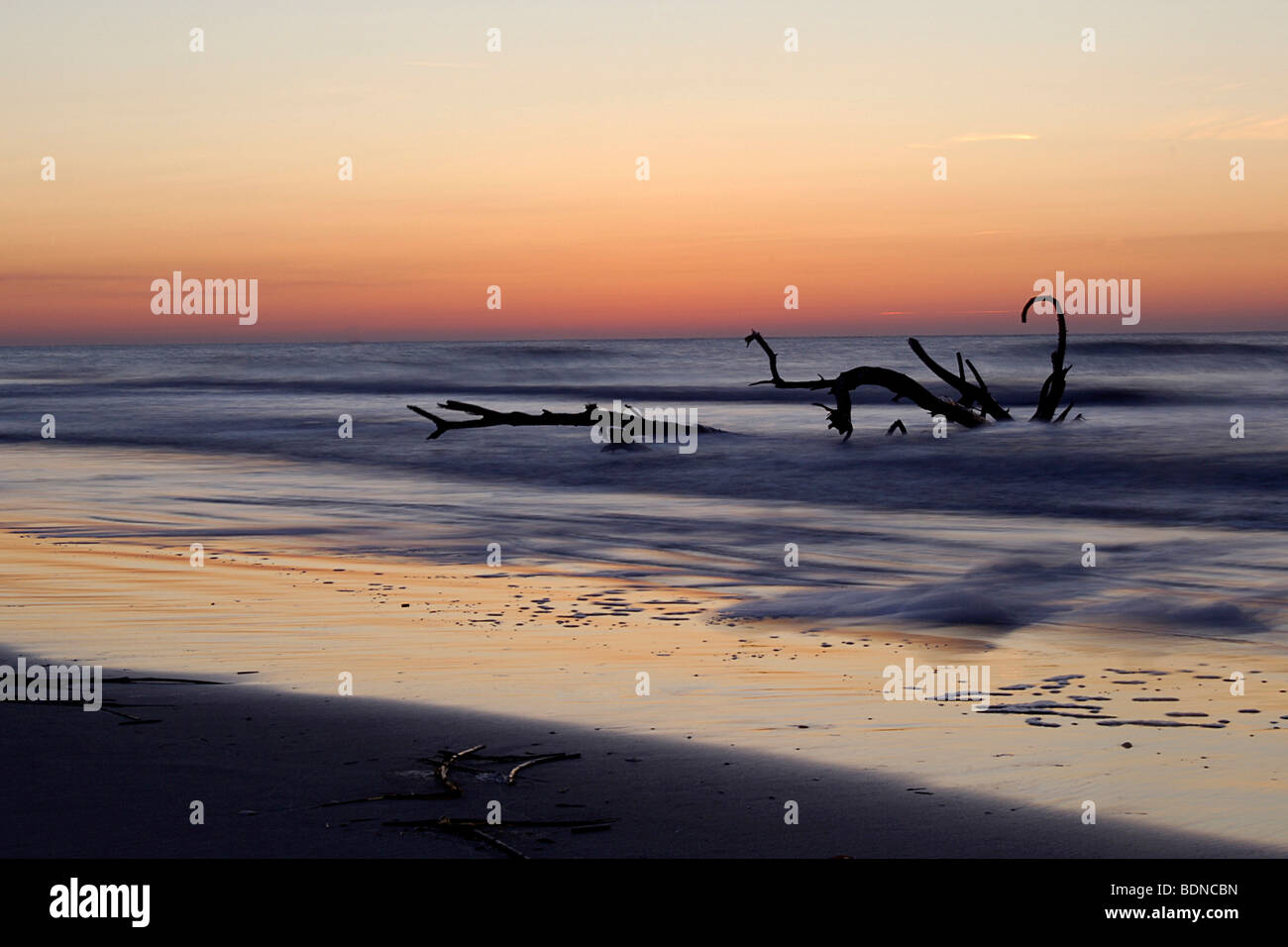 Driftwood nell'oceano al tramonto sulla Costa della Carolina del Nord nella Outer Banks Foto Stock