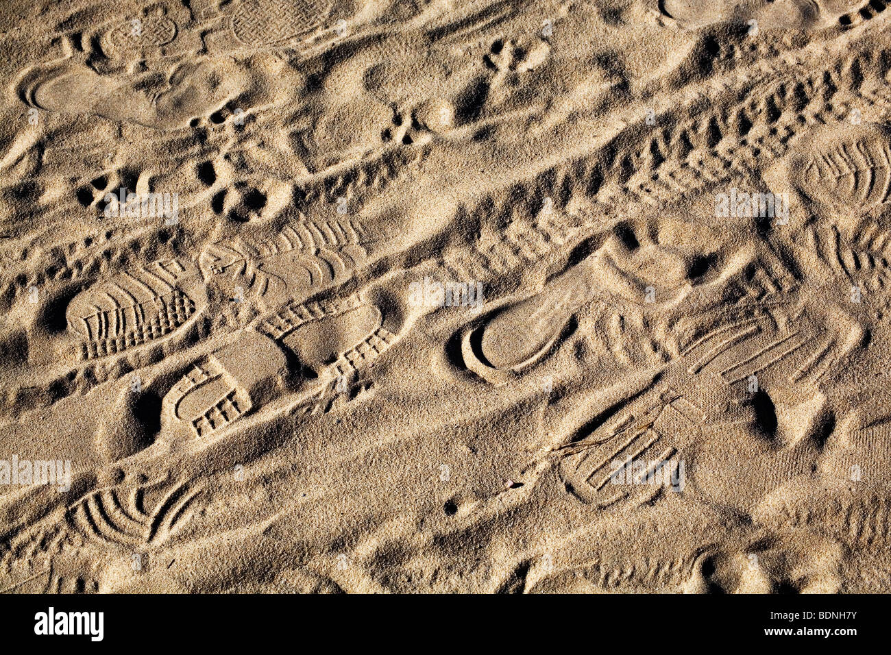 Sera orme e tracce nella sabbia sulla spiaggia di La Bois Plage sulla Ile de Re, Francia. Foto Stock