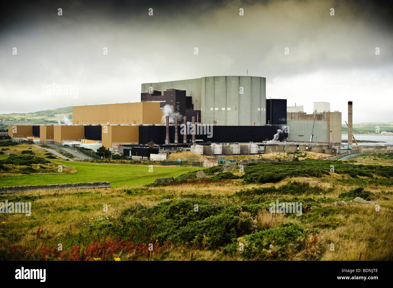 L'atomica Wylfa centrale nucleare sulla costa nord di Anglesey, Galles del Nord Regno Unito Foto Stock
