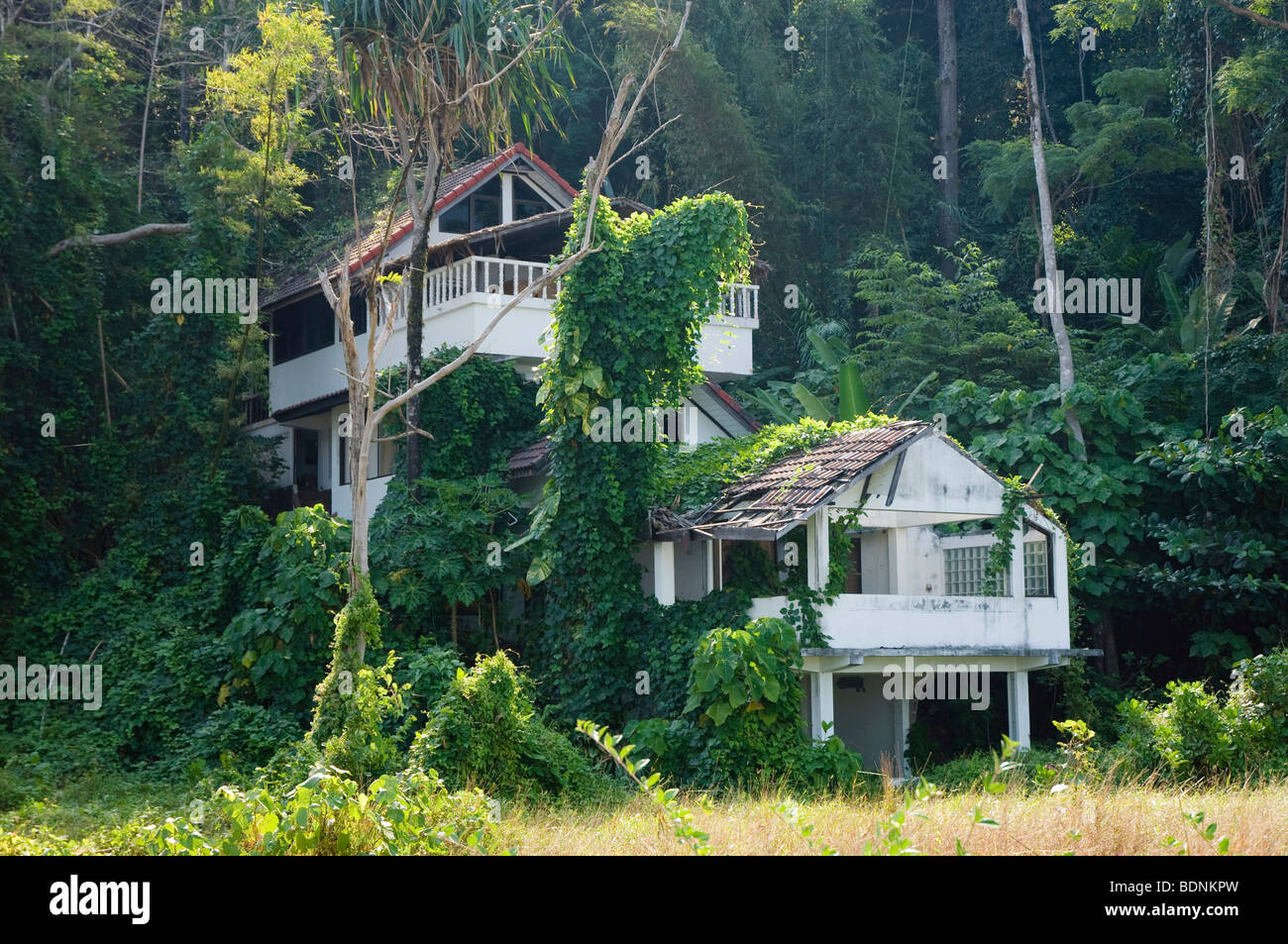 Casa distrutta da un maremoto ha distrutto e ricoperta dalla giungla, Nang Thong Beach, Khao Lak, sul Mare delle Andamane, Thailandia, Asia Foto Stock