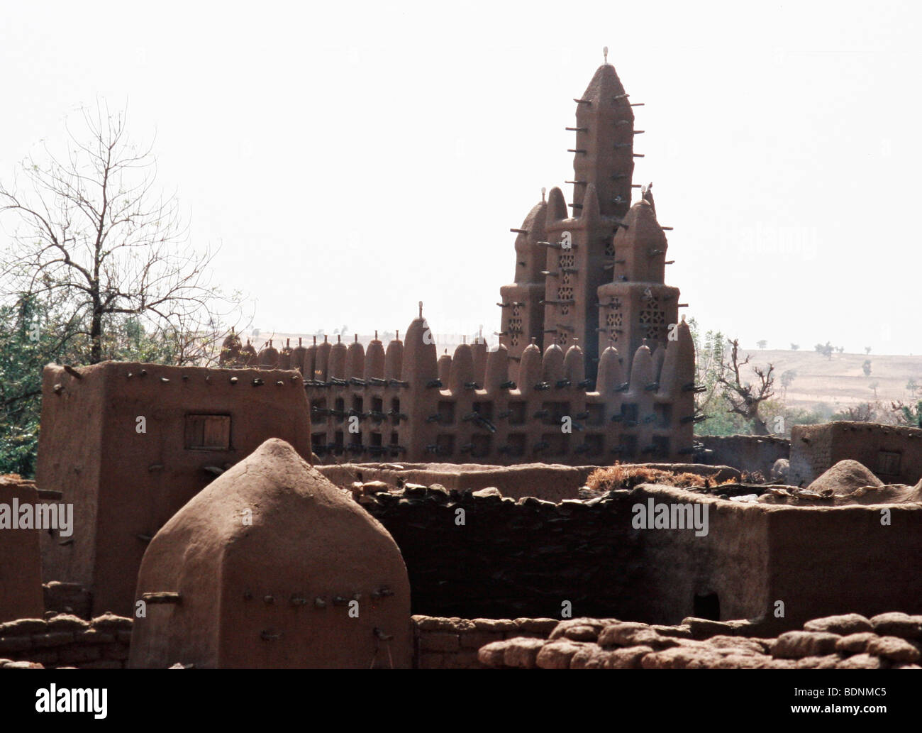 In Africa occidentale, Repubblica del Mali, Sankor Foto Stock