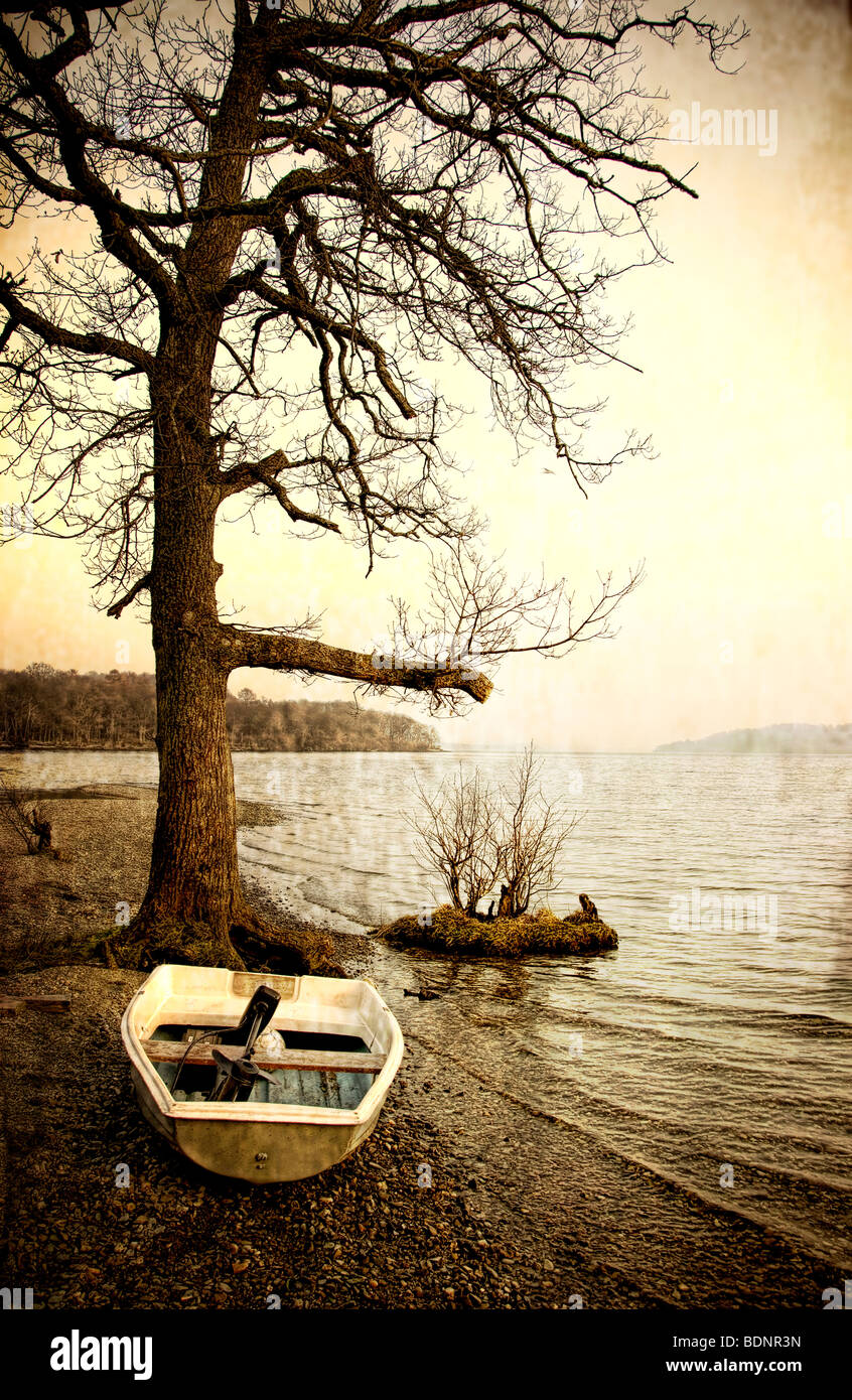 Un piccolo vetroresina barca a remi sulla riva di un lago accanto a un albero in inverno Foto Stock