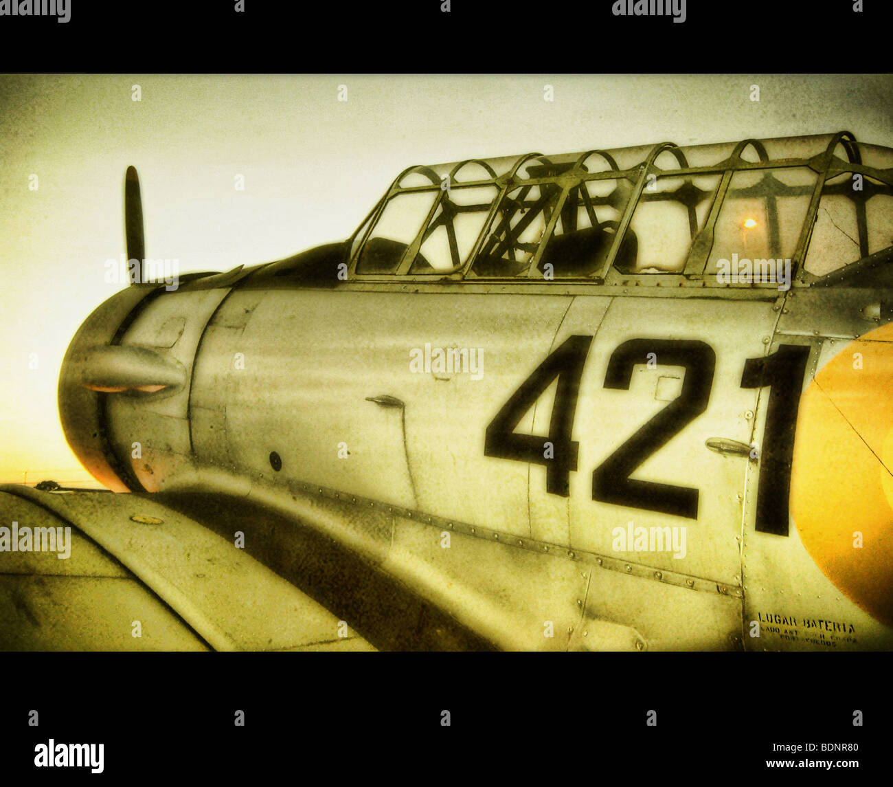 Una guerra mondiale II aereo Foto Stock