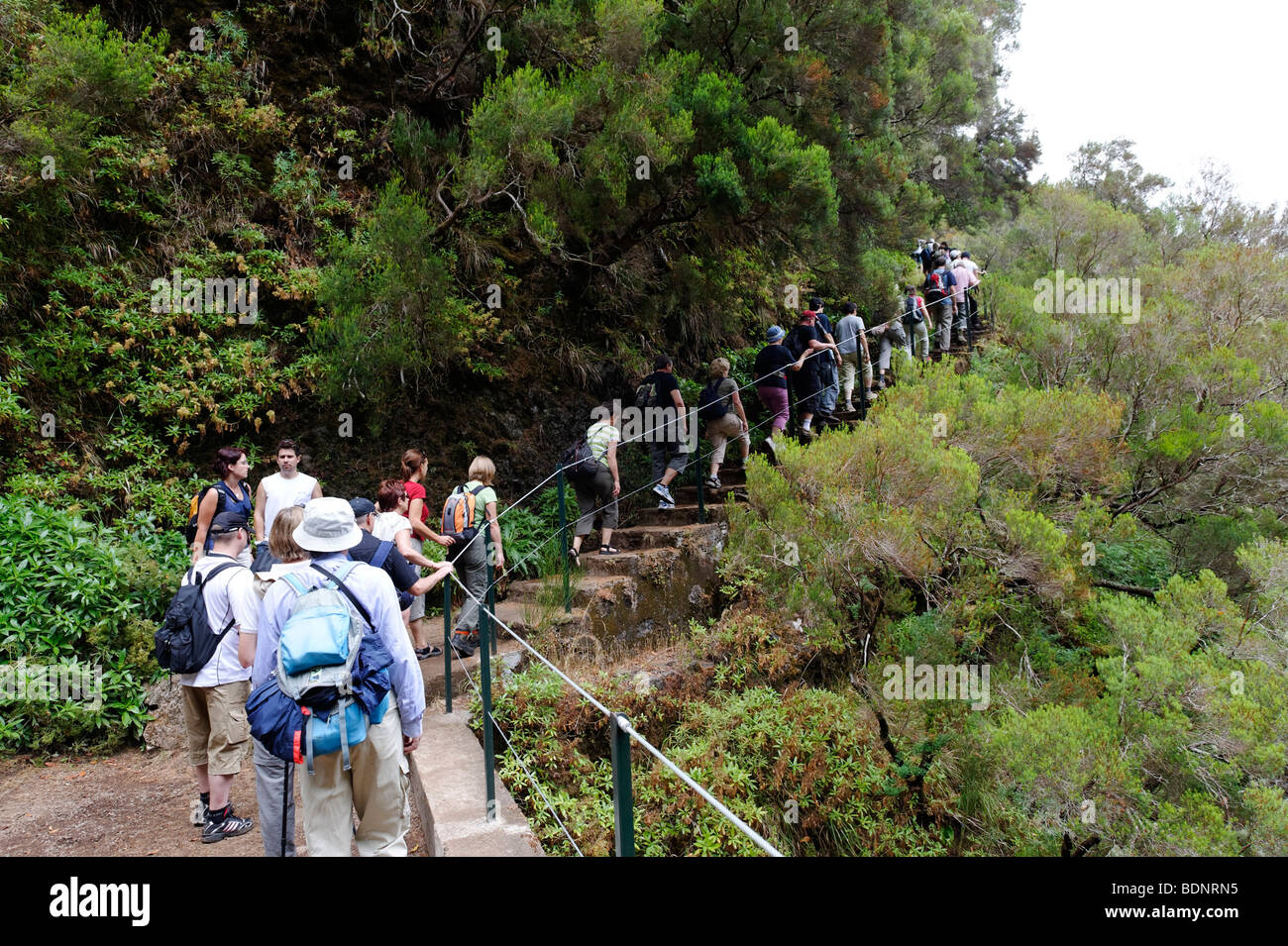 Escursione guidata al 25 fonti, Fontes, nel Parque Natural de Madeira, Portogallo, Europa Foto Stock