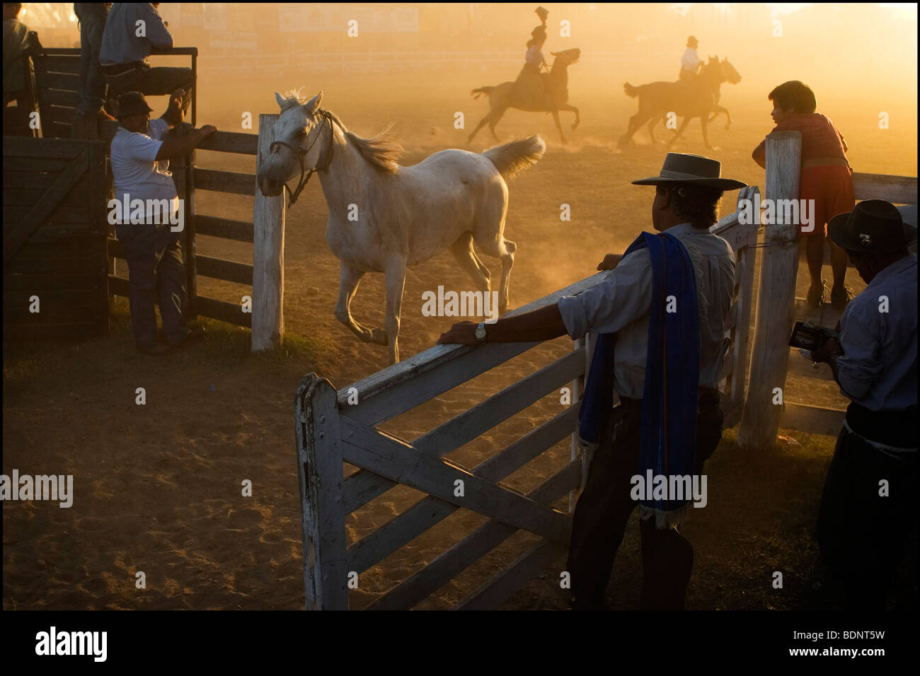 Gaucho tenendo aperta una porta per un cavallo bianco al galoppo attraverso Foto Stock