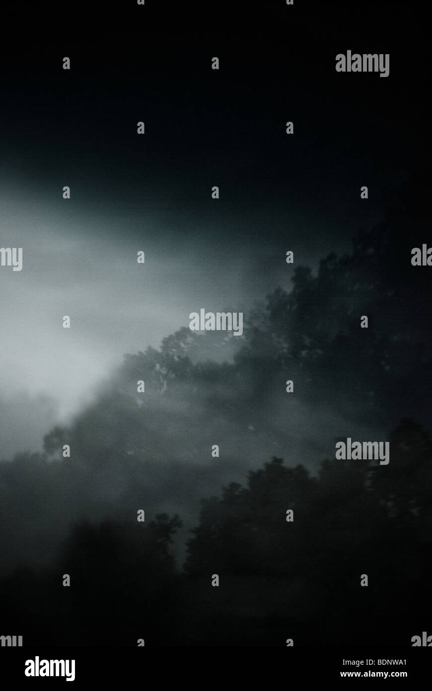Nuvole scure su una foresta con nebbia Foto Stock