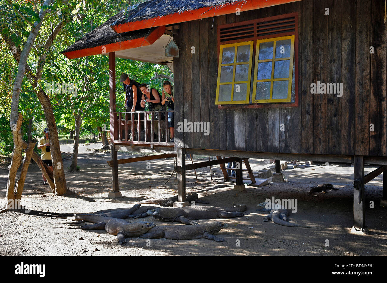 I turisti fotografare varani, Rinca Isola, Loh Buaya, Parco Nazionale di Komodo, Indonesia, sud-est asiatico Foto Stock