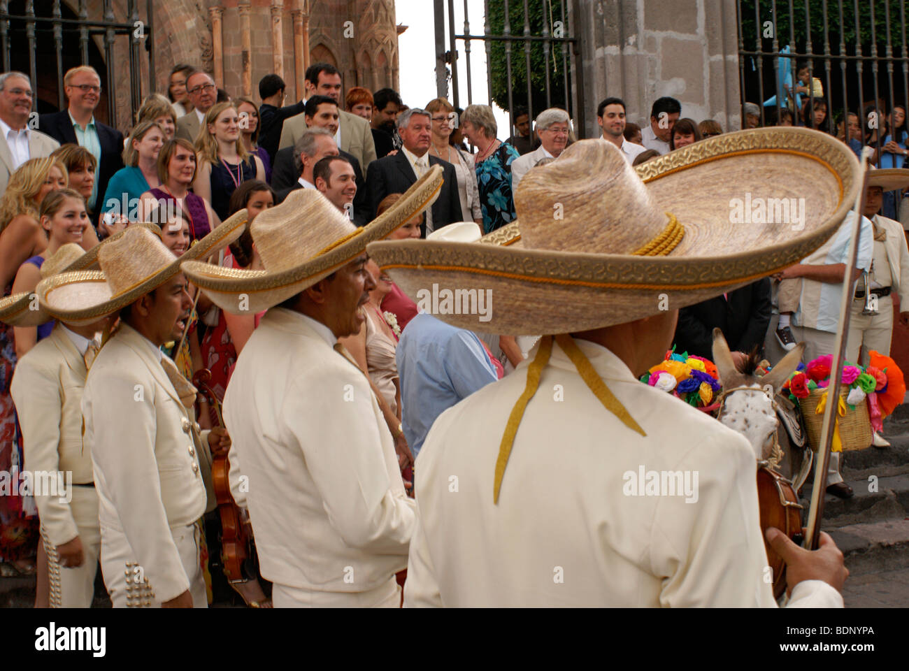 Mariachi serenata a un matrimonio messicano in San Miguel De Allende, Messico Foto Stock