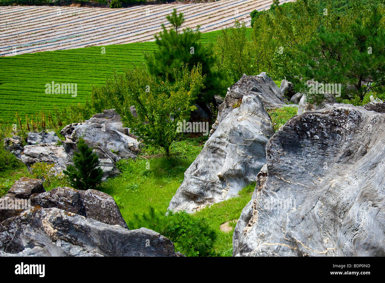 Montagna e campi in provincia Chungbuk Corea del Sud Foto Stock