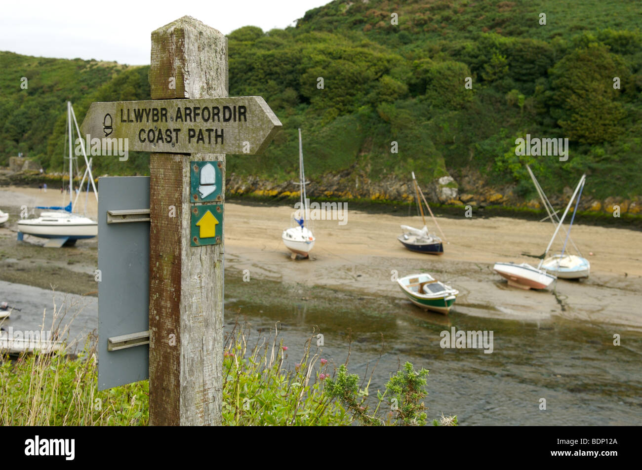 Il porto di Solva, Pembrokeshire, Galles Foto Stock