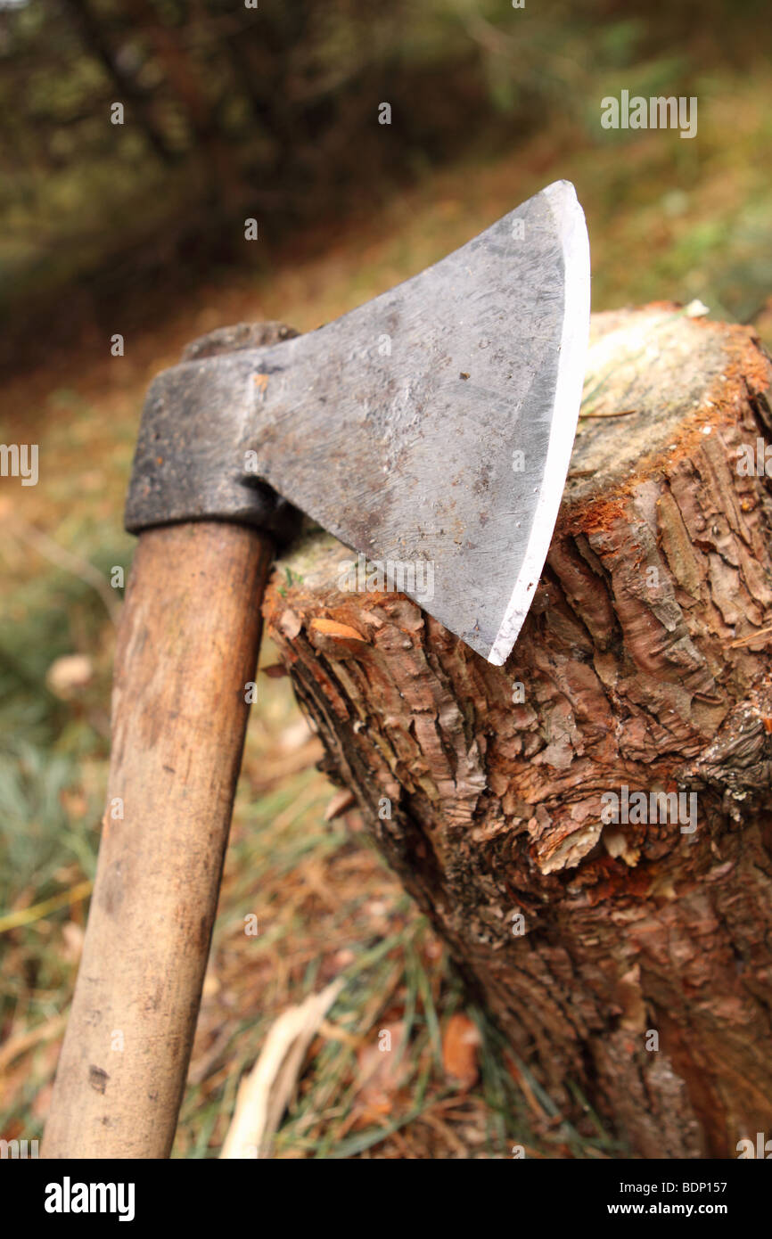 Lama di Ax e ceppo di albero in legno della foresta di bosco Foto Stock