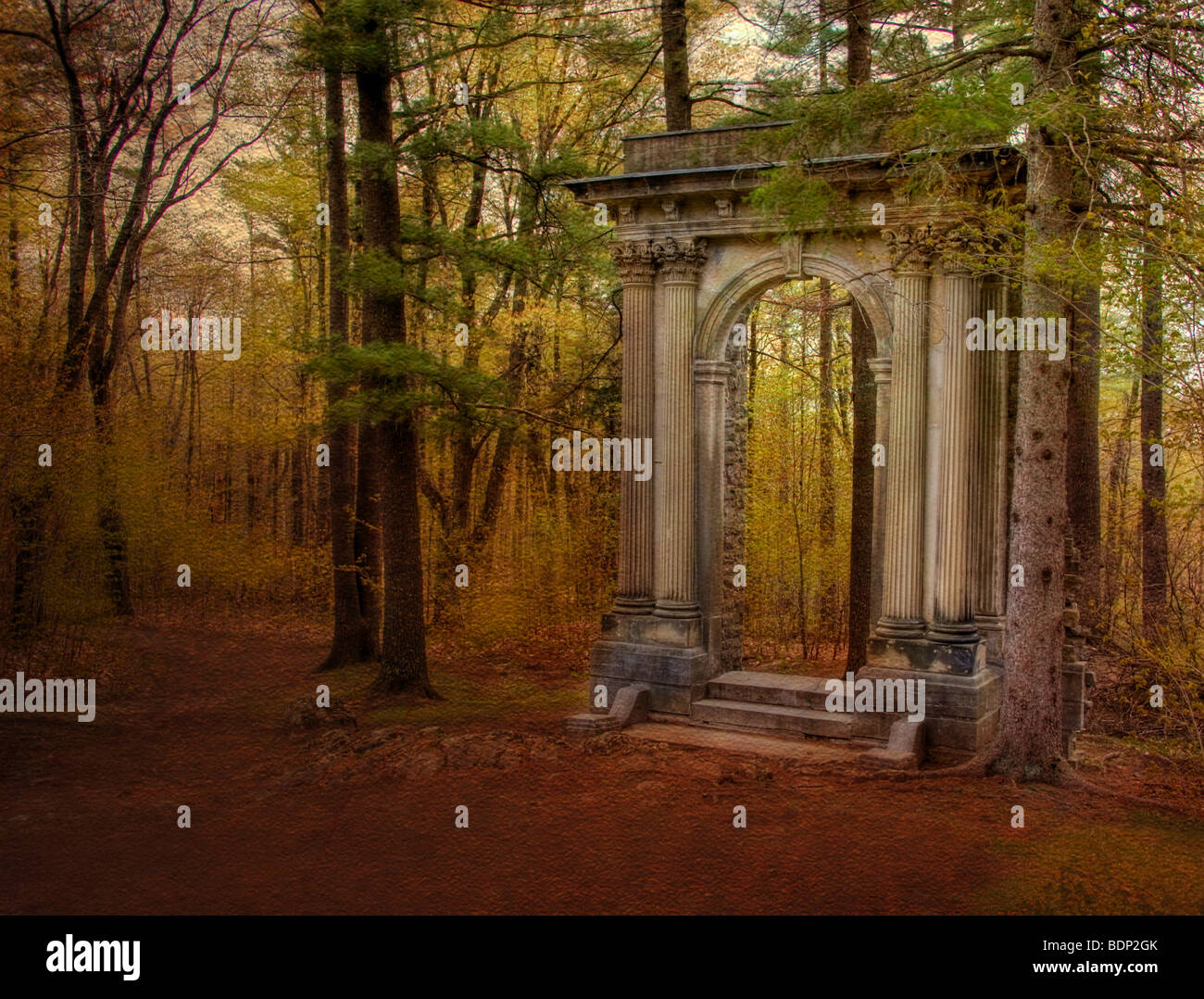 Un arco classico in un bosco Foto Stock