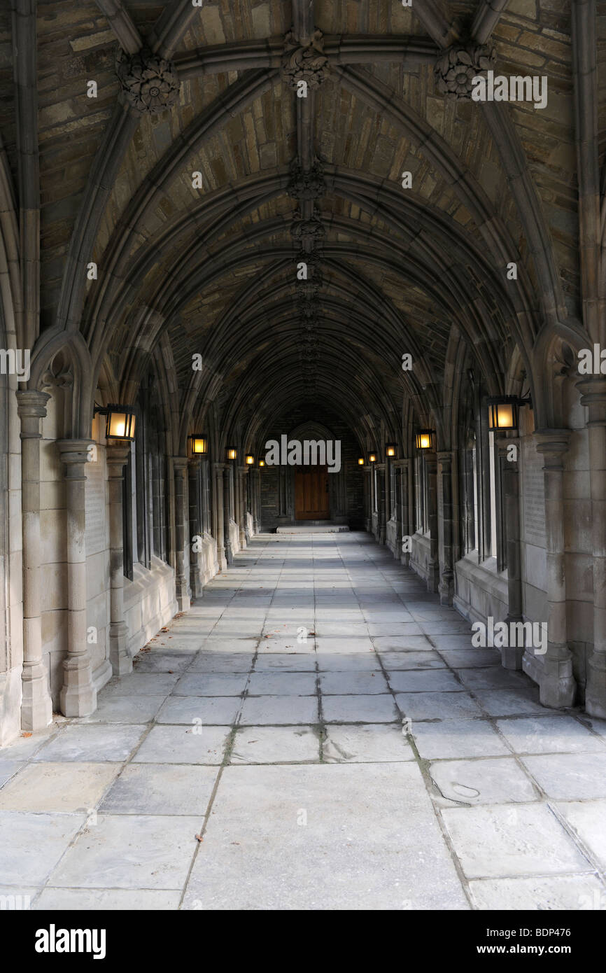 8/12 Cornell University, archi e la passerella a Lione Hall Foto Stock