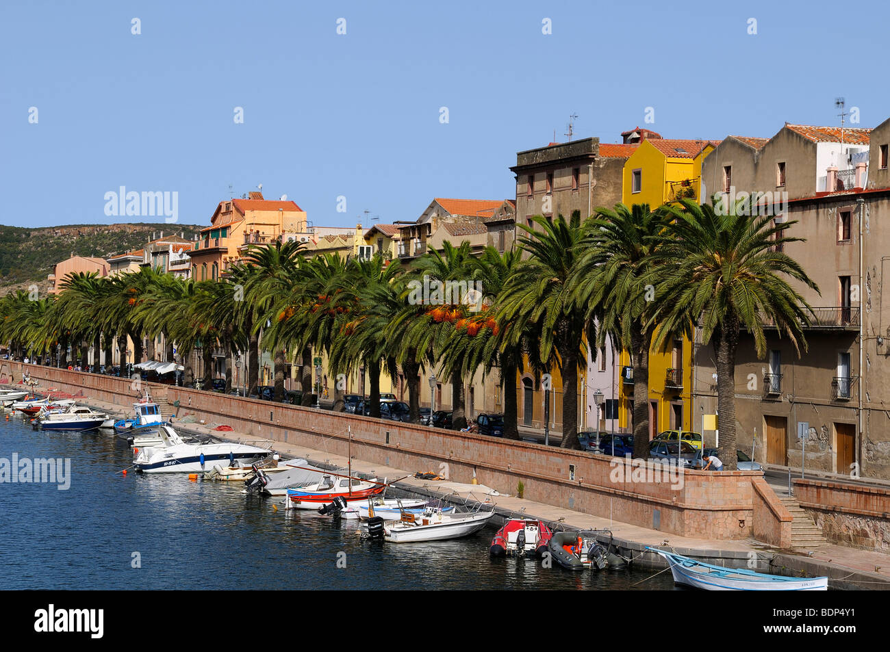 Barche sul fiume Temo e il centro storico di Bosa, palme lungo la promenade, Bosa, Oristano, Sardegna, Italia, Foto Stock
