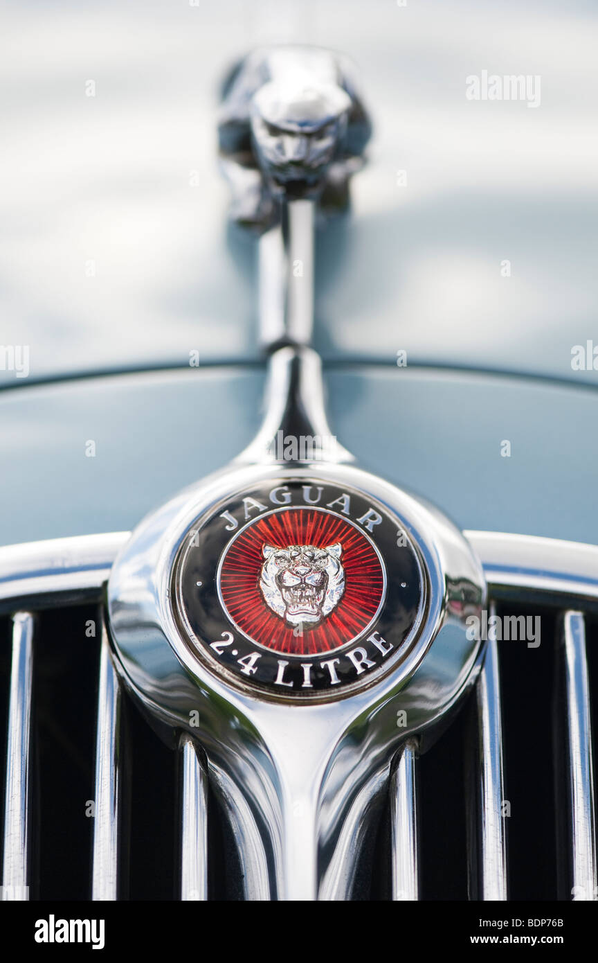 Jaguar 2,4 litro Mk I 3 volumi. Saltando jaguar mascotte e logo, Classic automobili inglesi Foto Stock