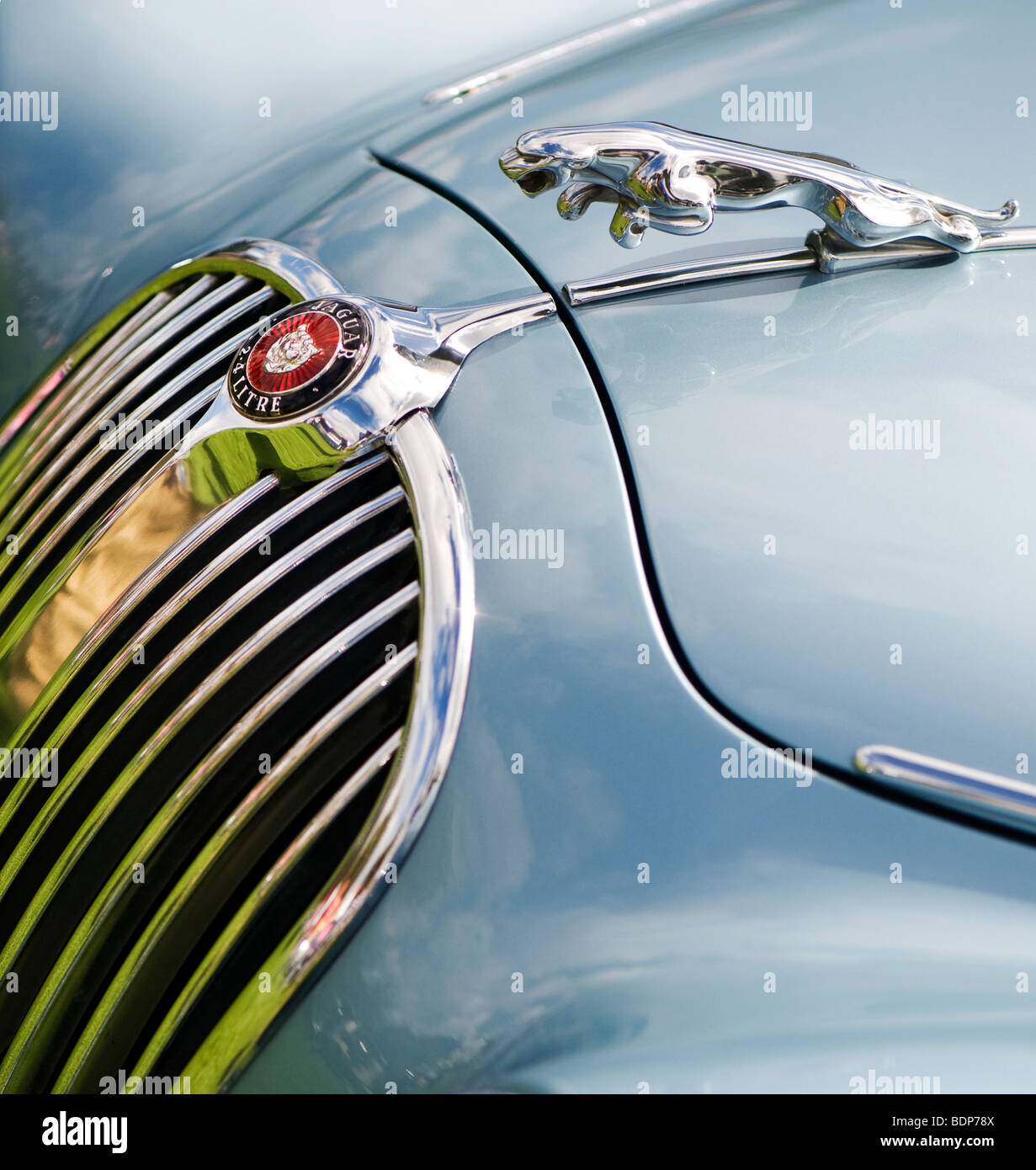 Jaguar 2,4 litro Mk I 3 volumi. Saltando jaguar mascotte e logo, Classic automobili inglesi Foto Stock