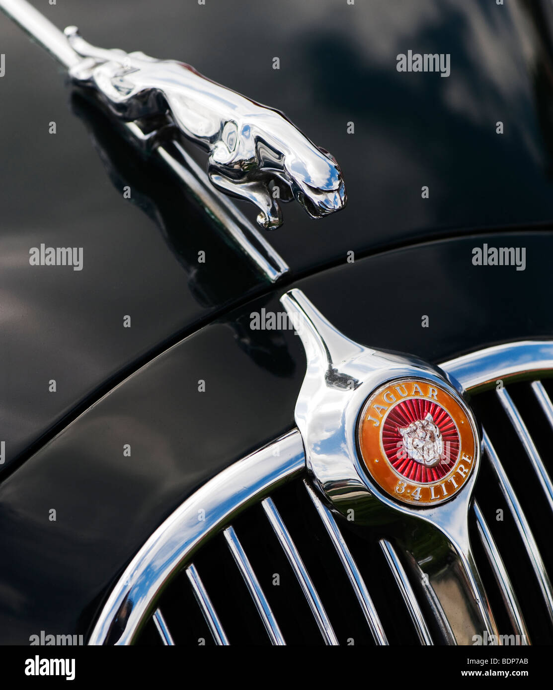 Jaguar 3.4 litro Mk I 3 volumi. Saltando jaguar mascotte e logo, Classic automobili inglesi Foto Stock