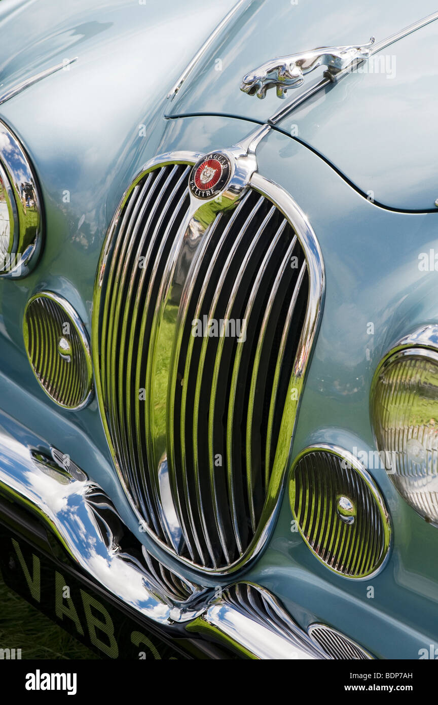 Jaguar 2,4 litro Mk I 3 volumi. Saltando jaguar mascotte e logo, Classic automobili inglesi Foto Stock