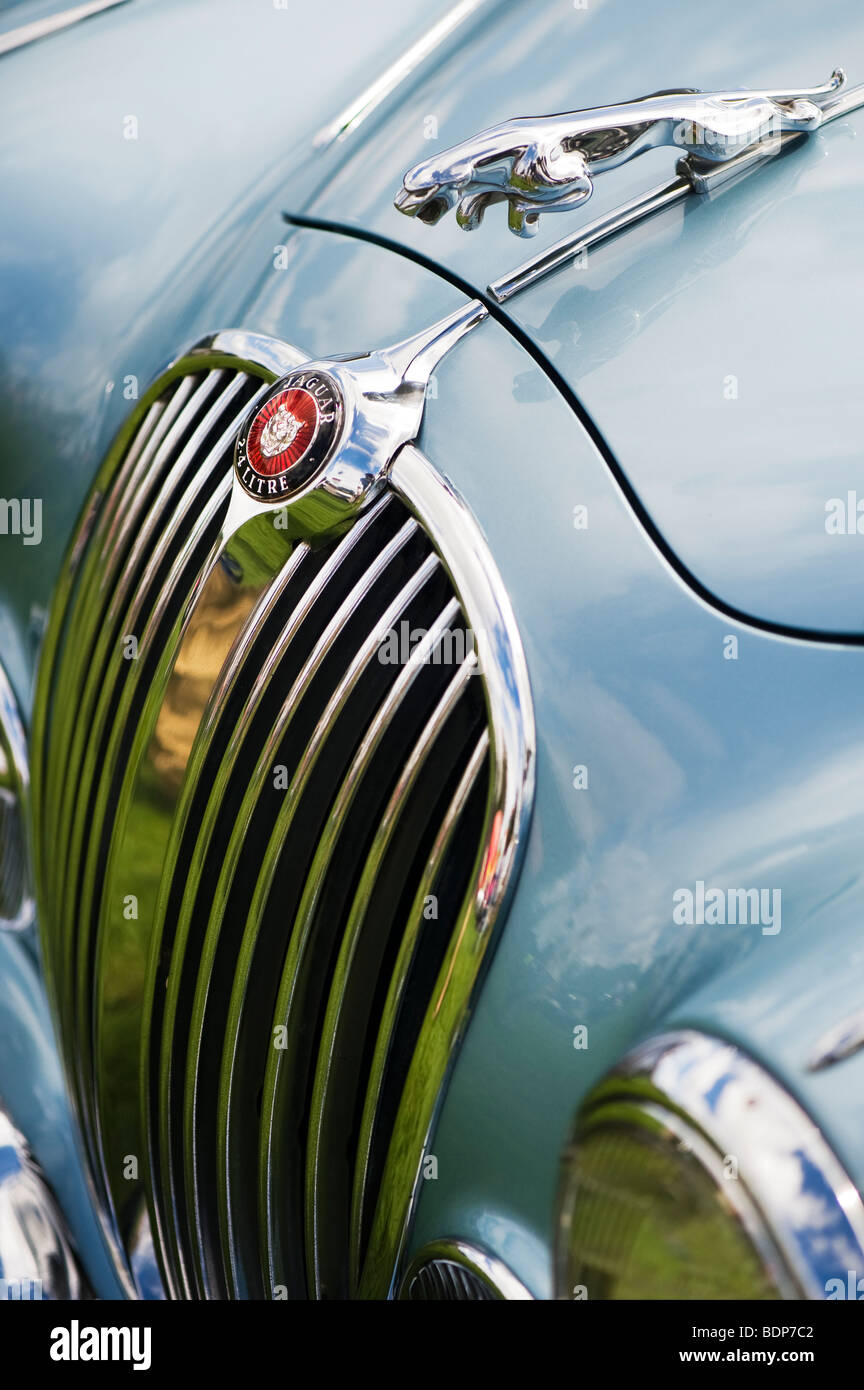 Jaguar 2,4 litro Mk I 3 volumi. Saltando jaguar mascotte e logo, Classic automobili inglesi Foto Stock