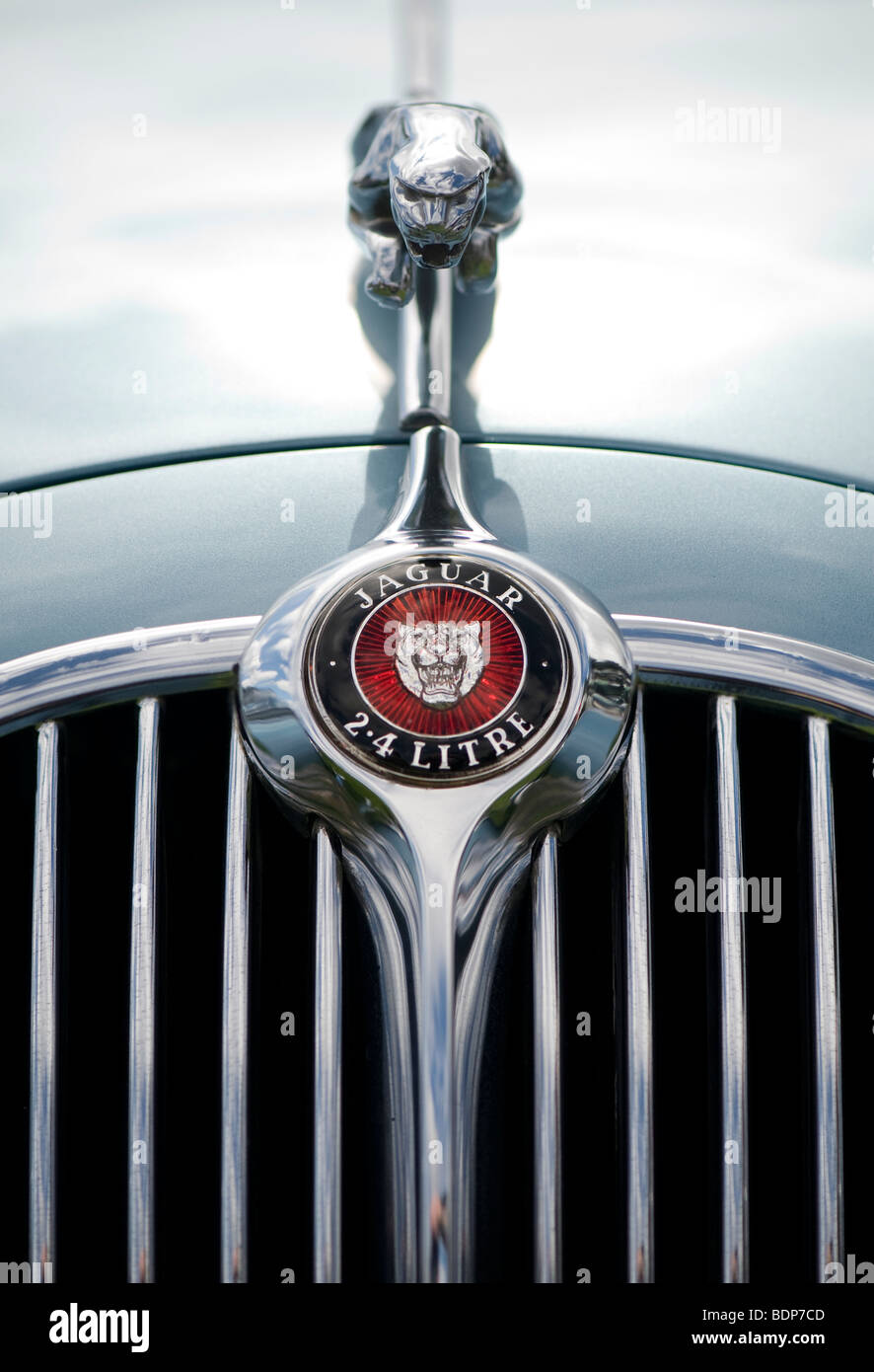 Jaguar 2,4 litro Mk I 3 volumi. Saltando jaguar mascotte e logo, Classic automobili inglesi Foto Stock