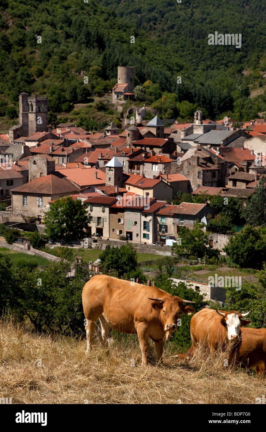 Vista sul centro storico borgo medievale di Blesle, Haute-loire, con bovini inerbimento Auvergne, Francia. Foto Stock