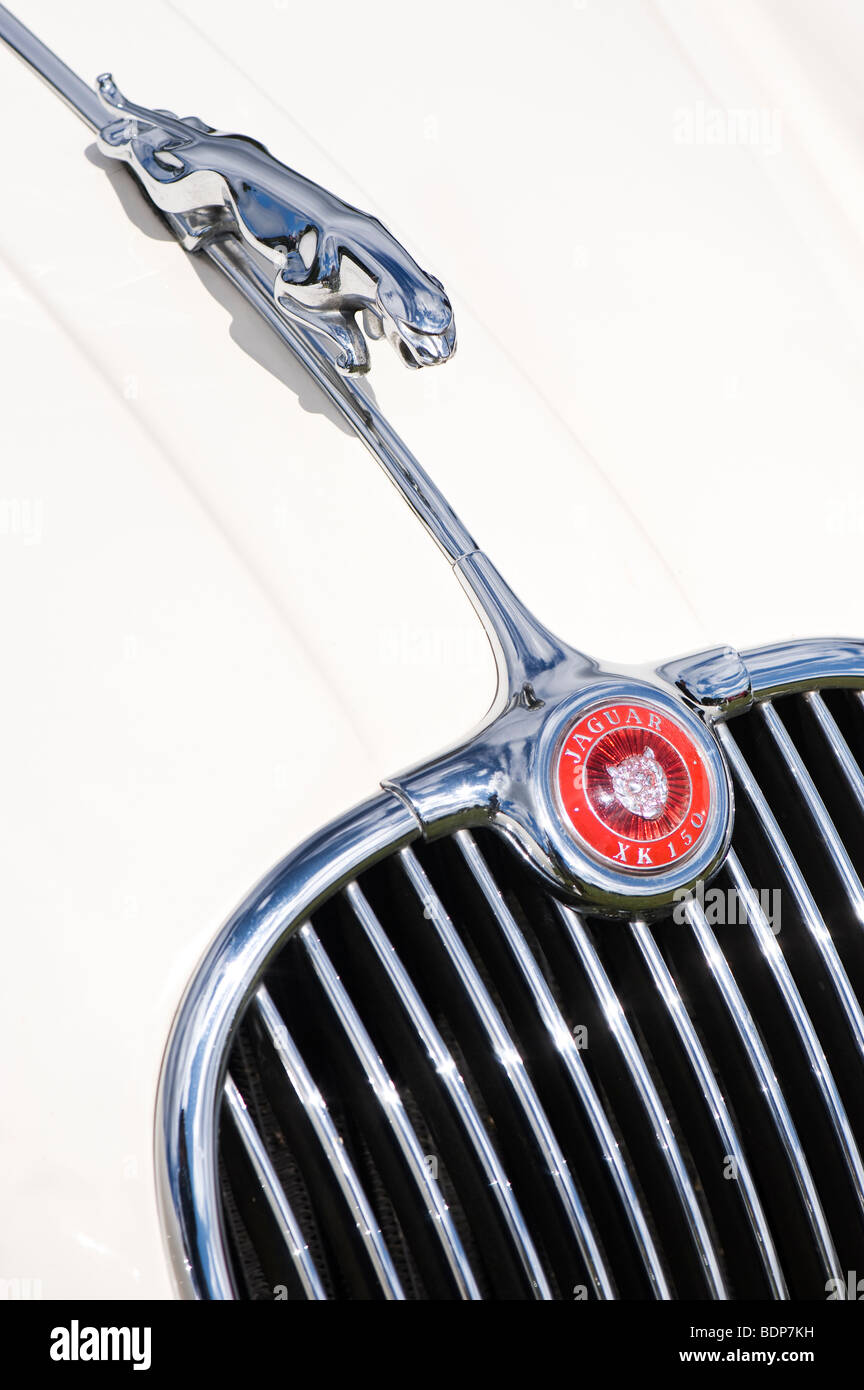 Jaguar XK150 auto sportiva roadster. Saltando jaguar mascotte e logo, Classic automobili inglesi Foto Stock