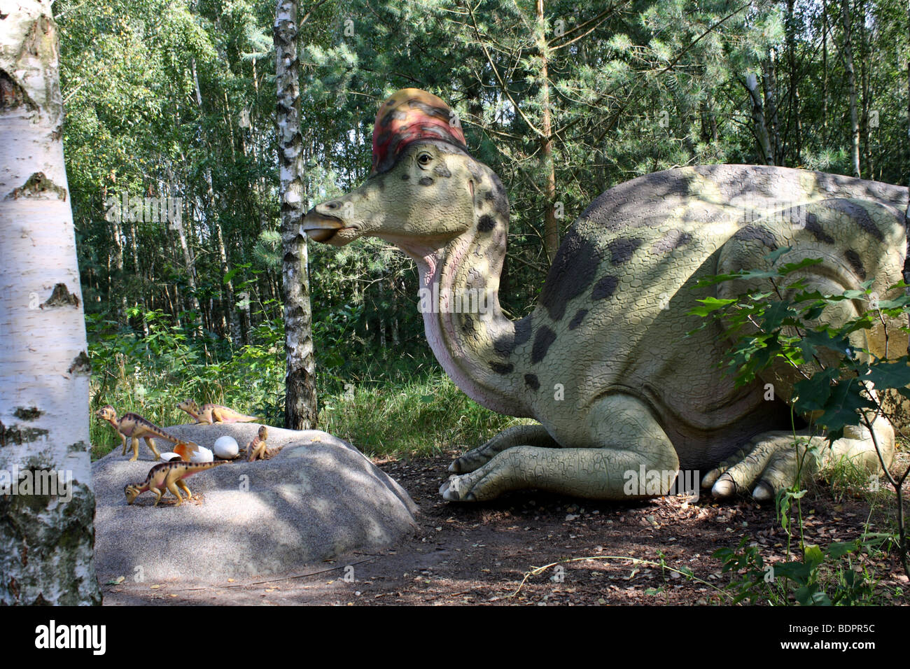Corythosaurus significa 'casco lizard' parco preistorico, dimensione reale replica, 2009 Foto Stock