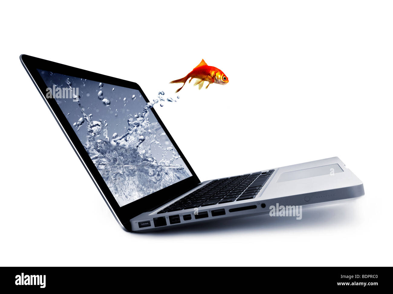 Goldfish saltare fuori del monitor Foto Stock