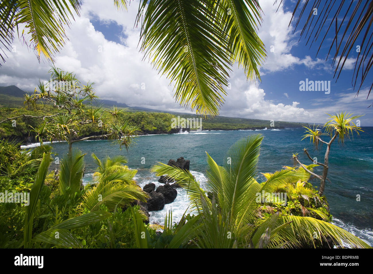 Remote costa vicino a Hana, Maui Foto Stock