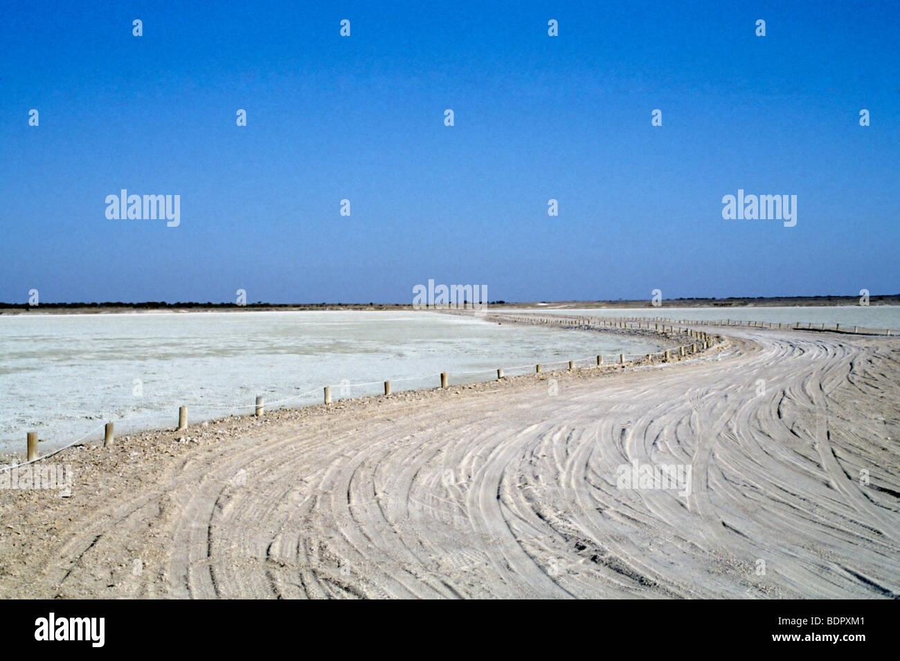 La Namibia, il parco nazionale Etosha Foto Stock