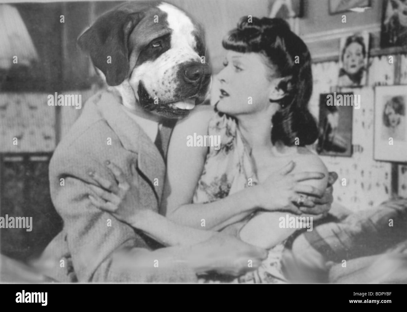 Una donna resistendo a coccolare da un san Bernardo cane che indossa un abito Foto Stock