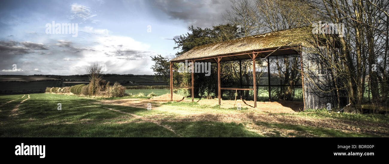 Un alloggiamento 4 granaio di storage edificio con un tetto in amianto in open farmland in Inghilterra Foto Stock