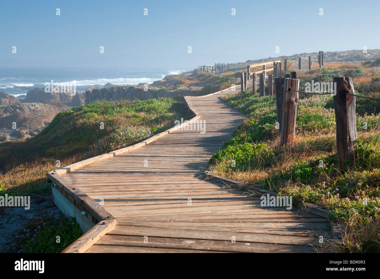 Passerella in legno e oceano su 17 Mile Drive. Pebble Beach in California Foto Stock