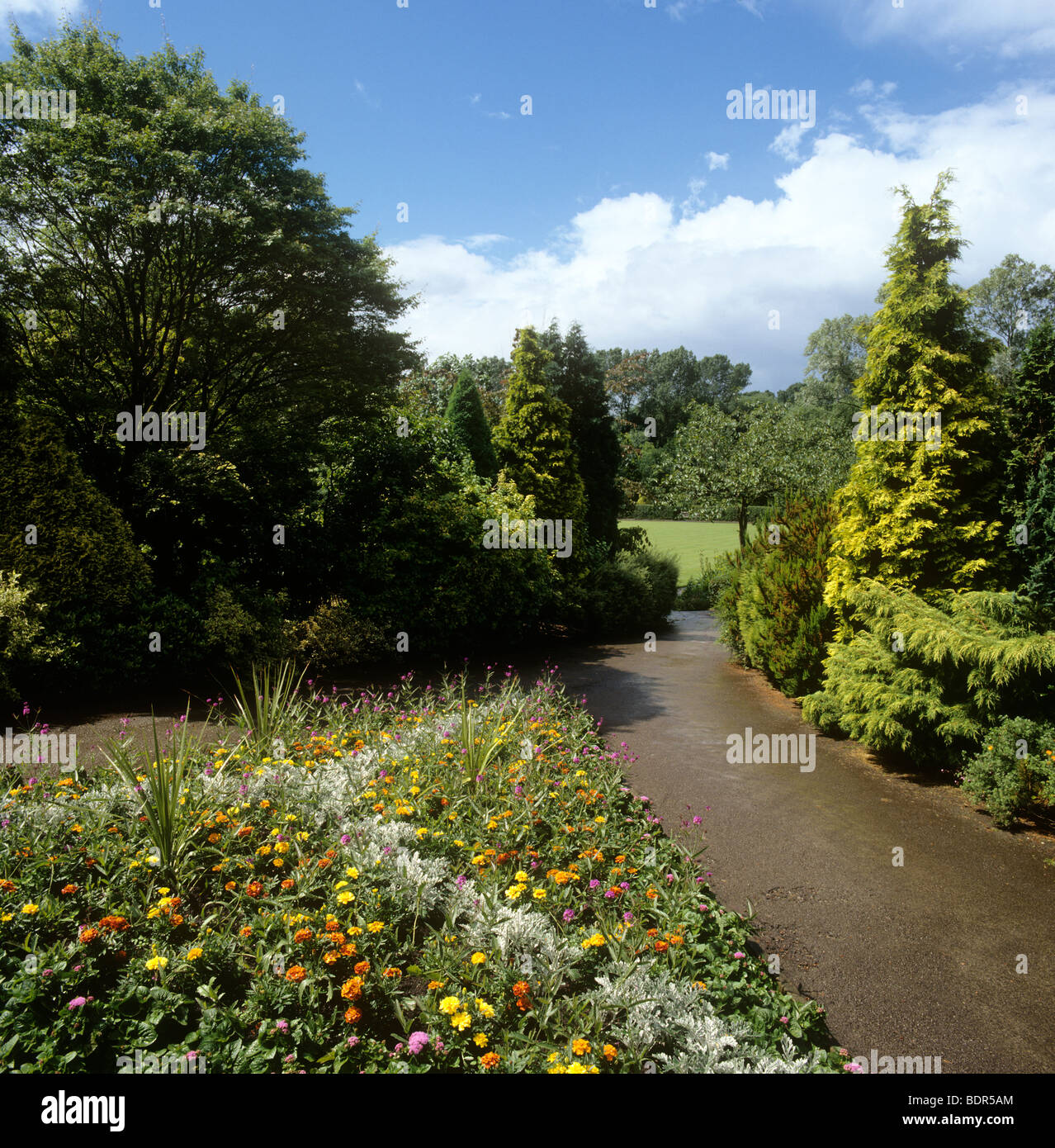 Regno Unito, Inghilterra, Manchester Didsbury, Fletcher Moss Giardino Botanico Foto Stock