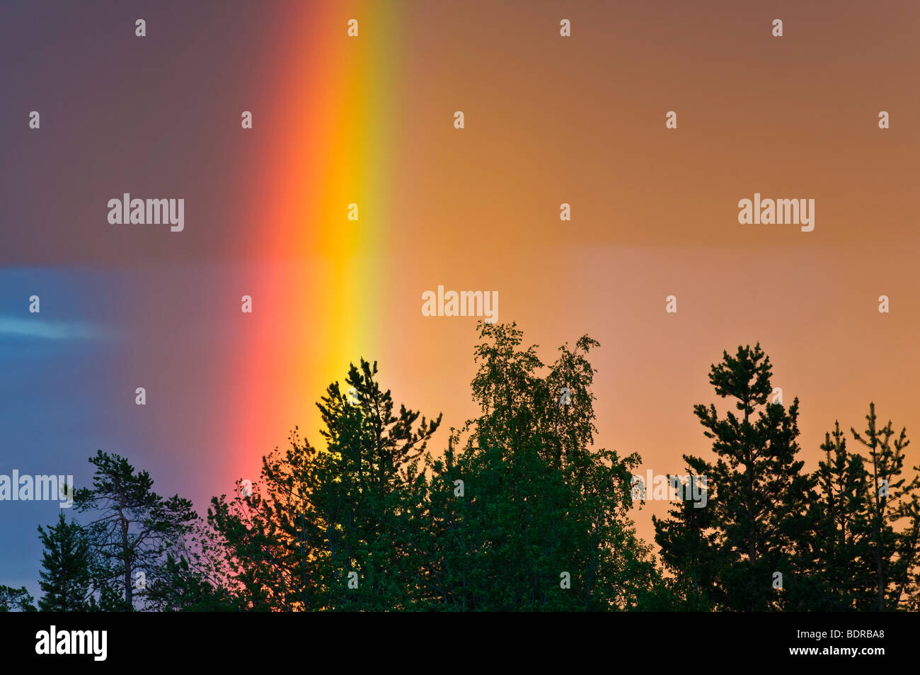 Regenbogen ueber landschaft in gaellivare, lappland, SCHWEDEN, rainbow al paesaggio in Lapponia, Svezia Foto Stock