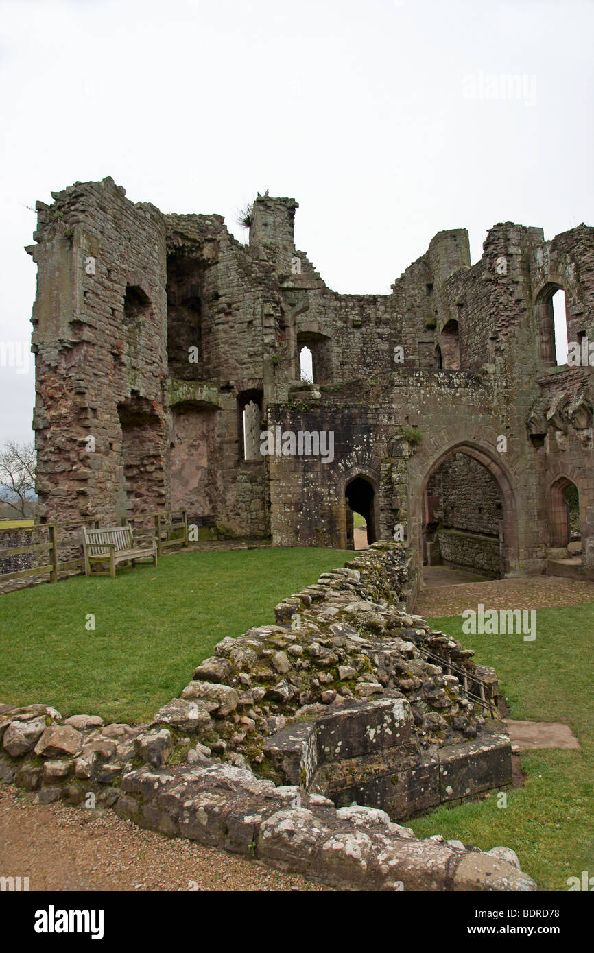 Raglan Castle in Monmouthshire Galles del Sud Foto Stock