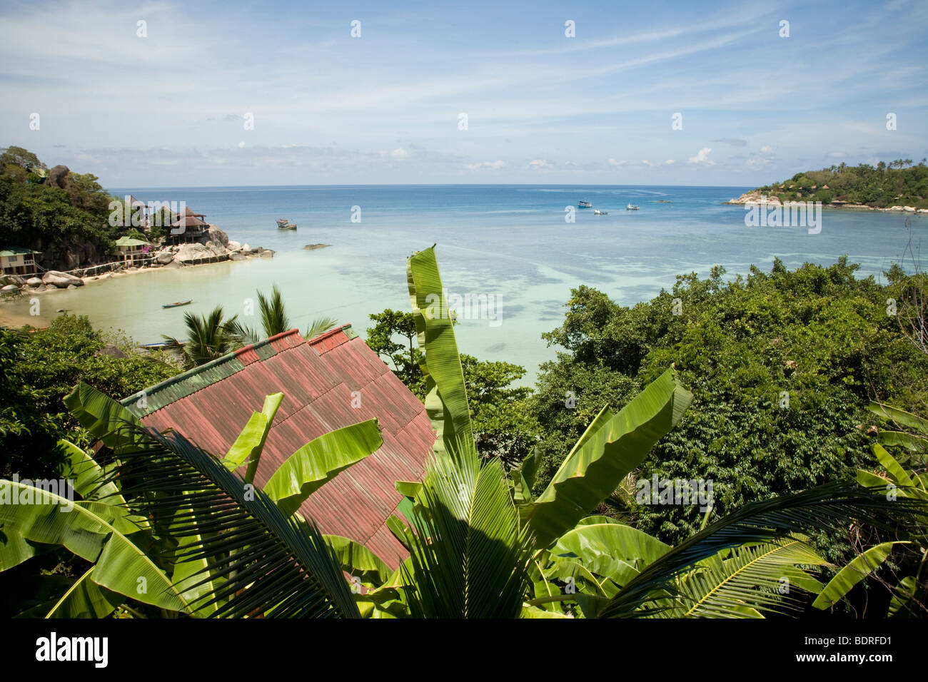 Taa Toh Laguna, Koh Tao, Thailandia Foto Stock