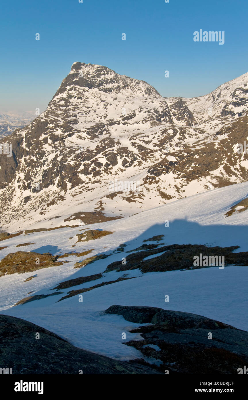 Paesaggio di montagna al ofotfjord, Norvegia Foto Stock