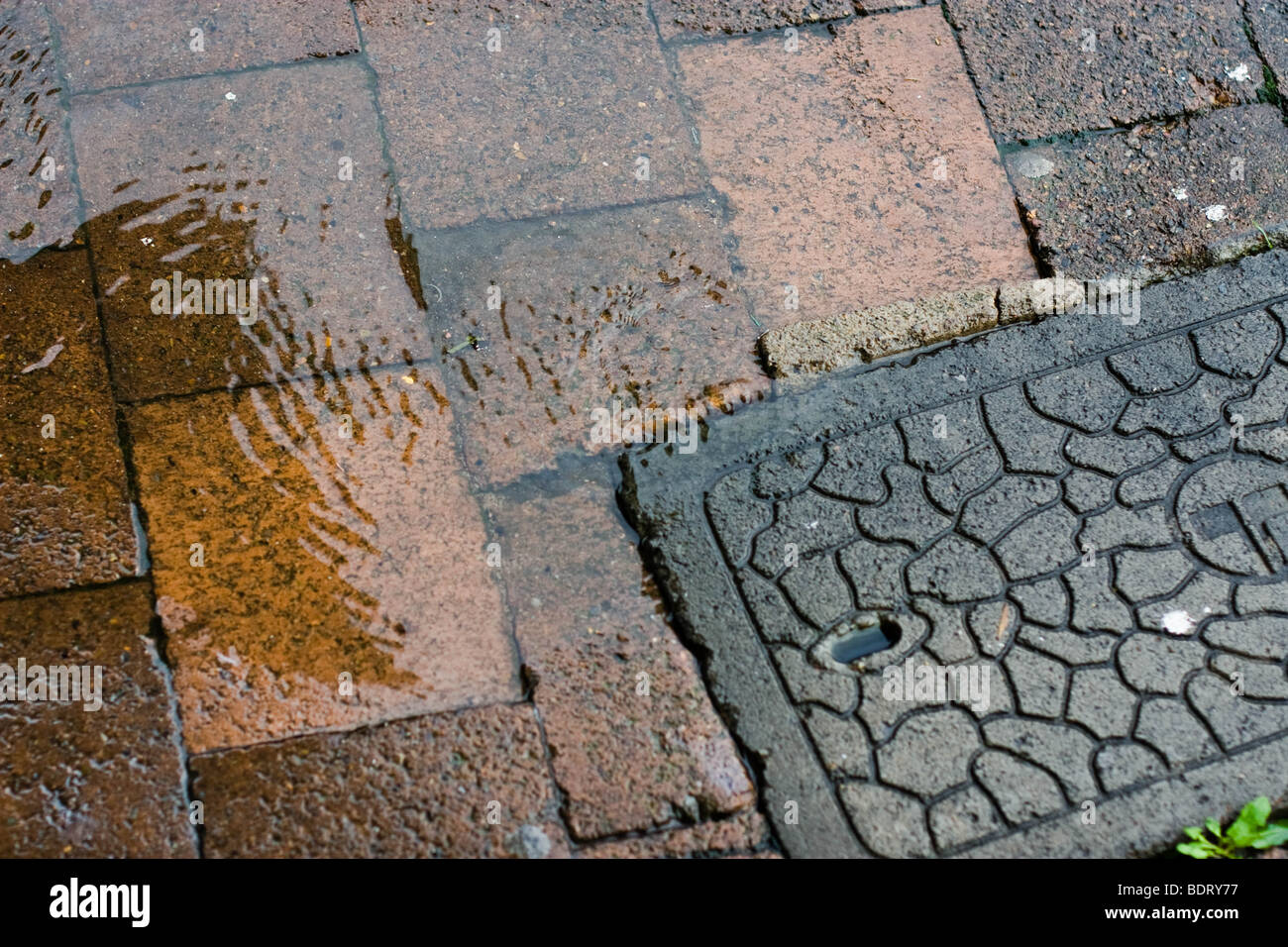 L'acqua che scorre da una compagnia telefonica tombino Foto Stock