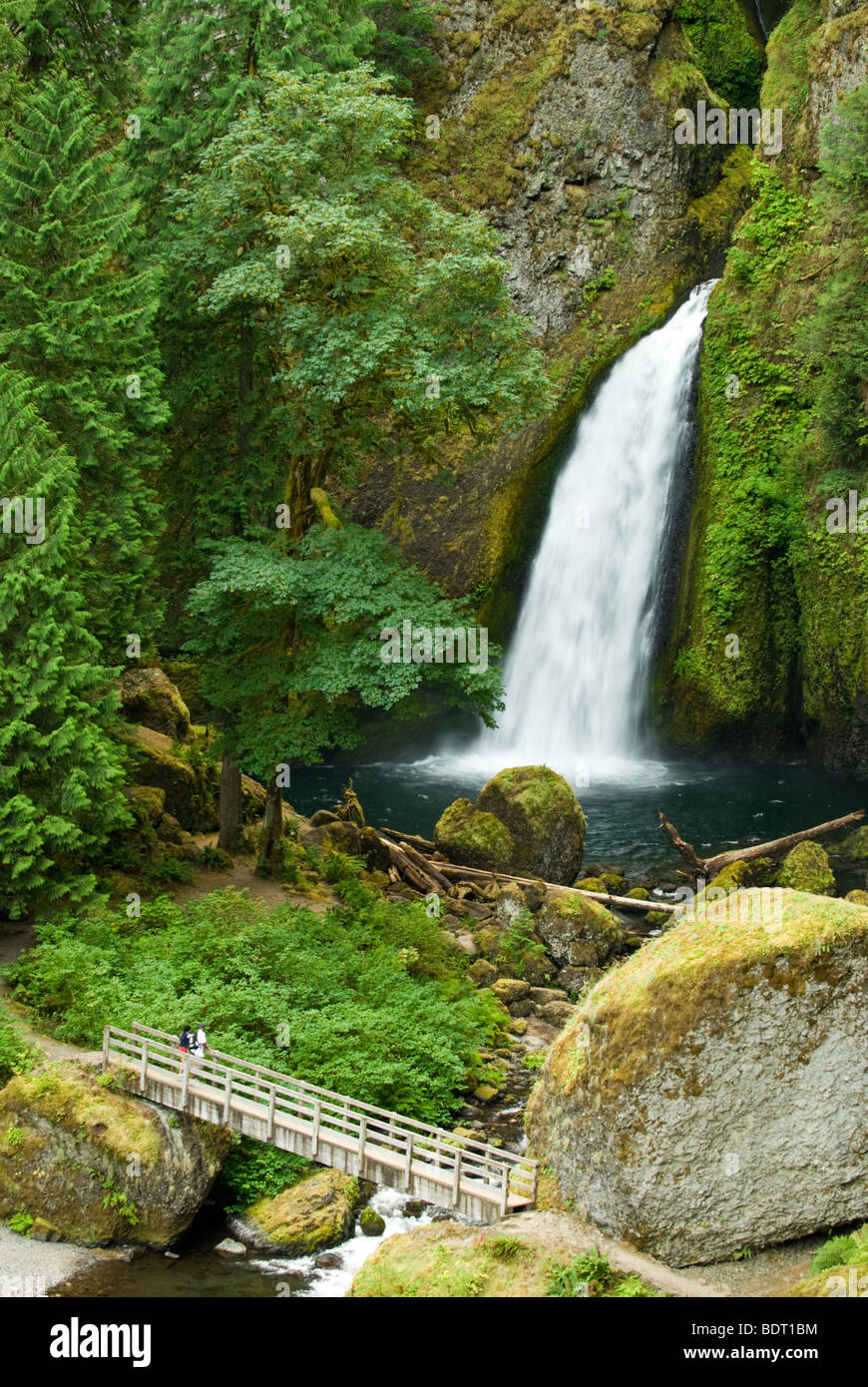 Wahclella cade su Oregon lato del Columbia River Gorge National Scenic Area. Foto Stock