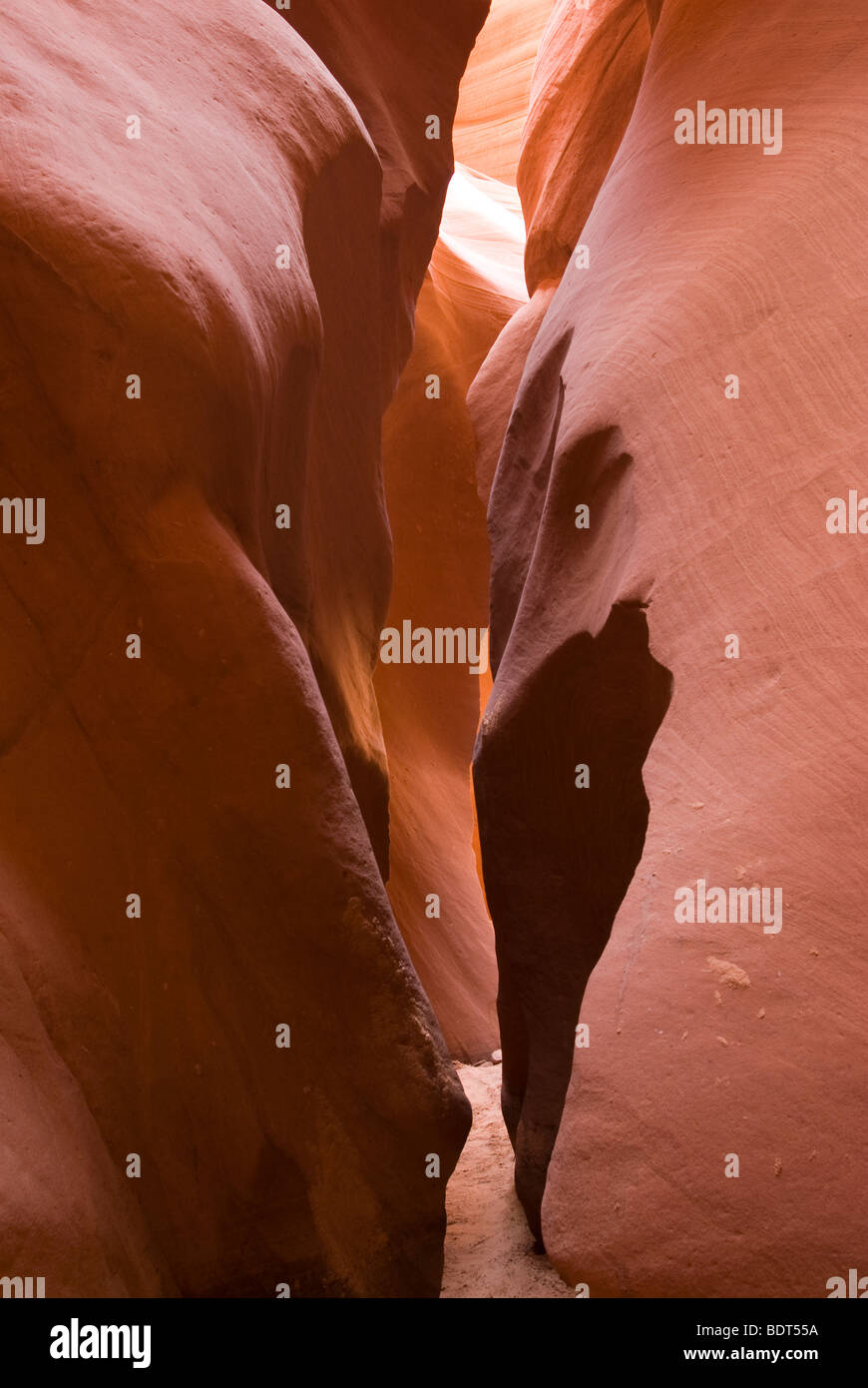 Antelope Canyon, Pagina, Lake Powell, Arizona, Stati Uniti d'America, Stati Uniti d'America. La luce riflessa nello slot canyon. Foto Stock