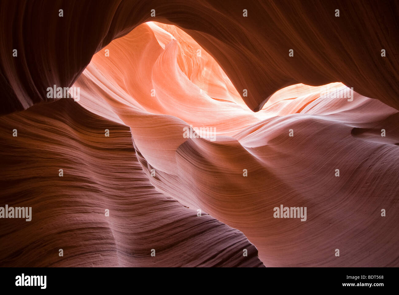 Antelope Canyon, Pagina, Lake Powell, Arizona, Stati Uniti d'America, Stati Uniti d'America. La luce riflessa nello slot canyon. Foto Stock