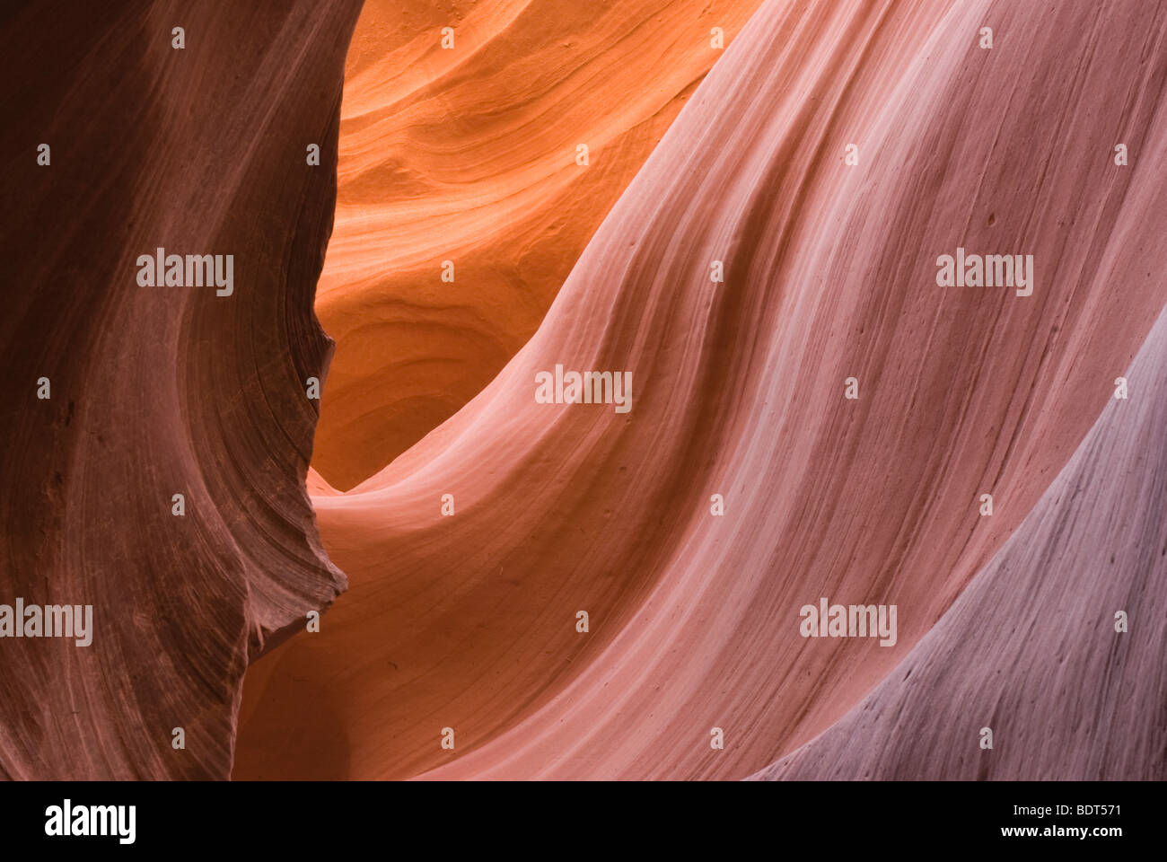 Antelope Canyon, Pagina, Lake Powell, Arizona, Stati Uniti d'America, Stati Uniti d'America. La luce riflessa nello slot canyon. Foto Stock