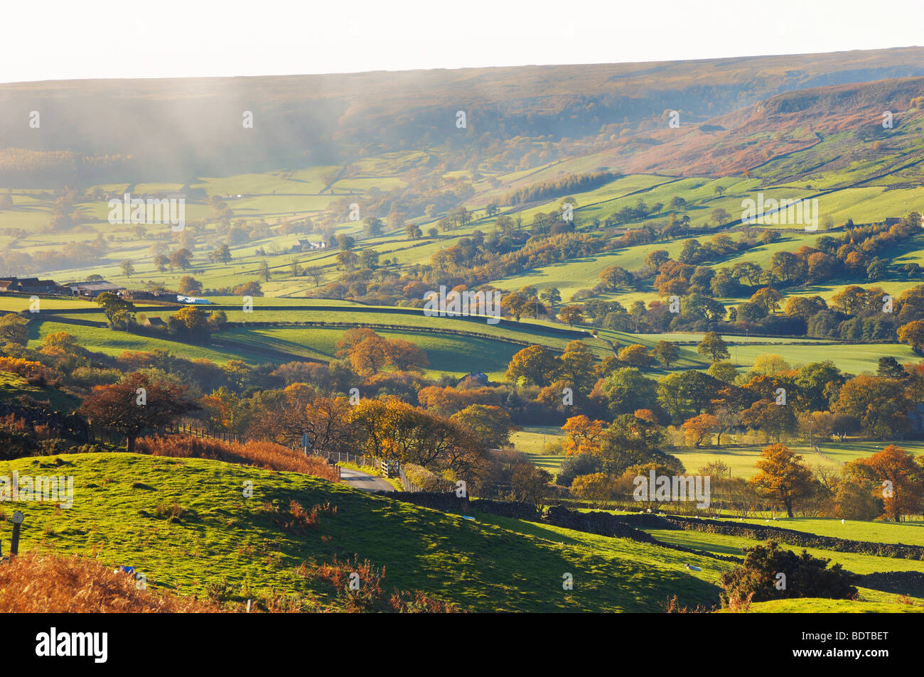 Farndale guardando attraverso dale, North Yorkshire Moors National Park, Inghilterra. Foto Stock
