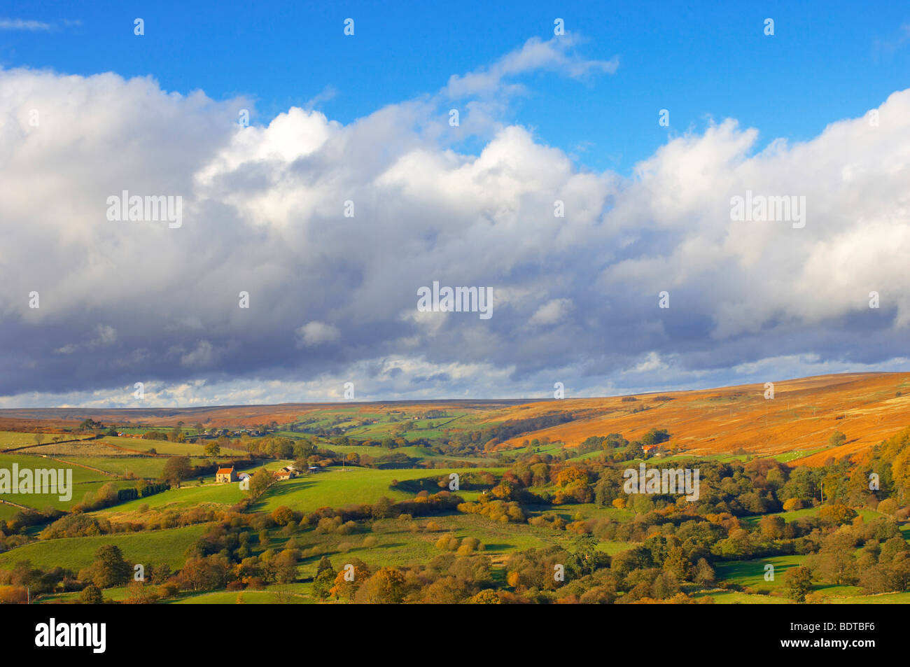 Eskdale guardando attraverso dale, North Yorkshire Moors National Park, Inghilterra. Foto Stock