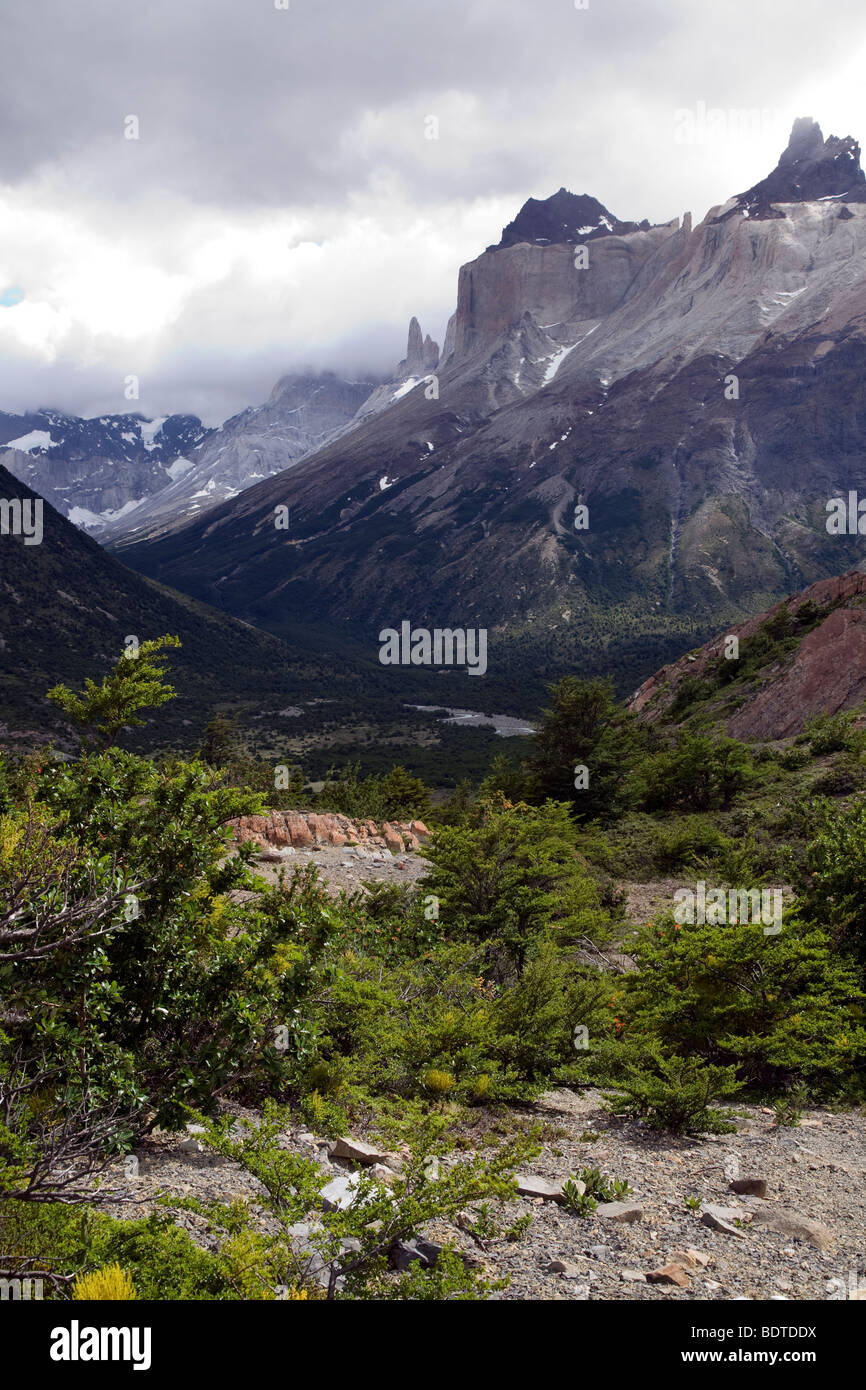 Valle francese, Torres del Paine, Patagonia, Cile Foto Stock