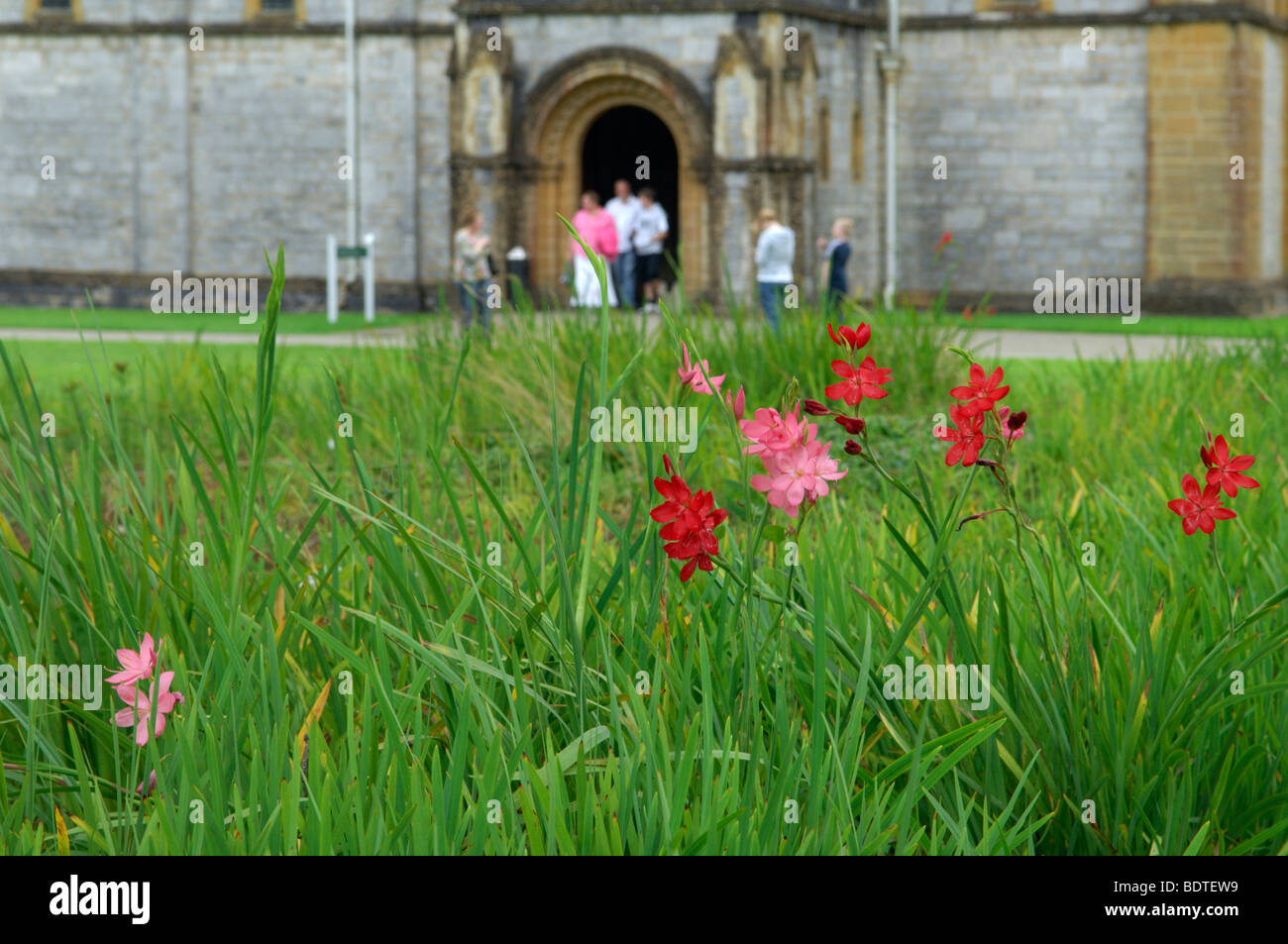 Buckfast Abbey, Devon, Inghilterra Foto Stock