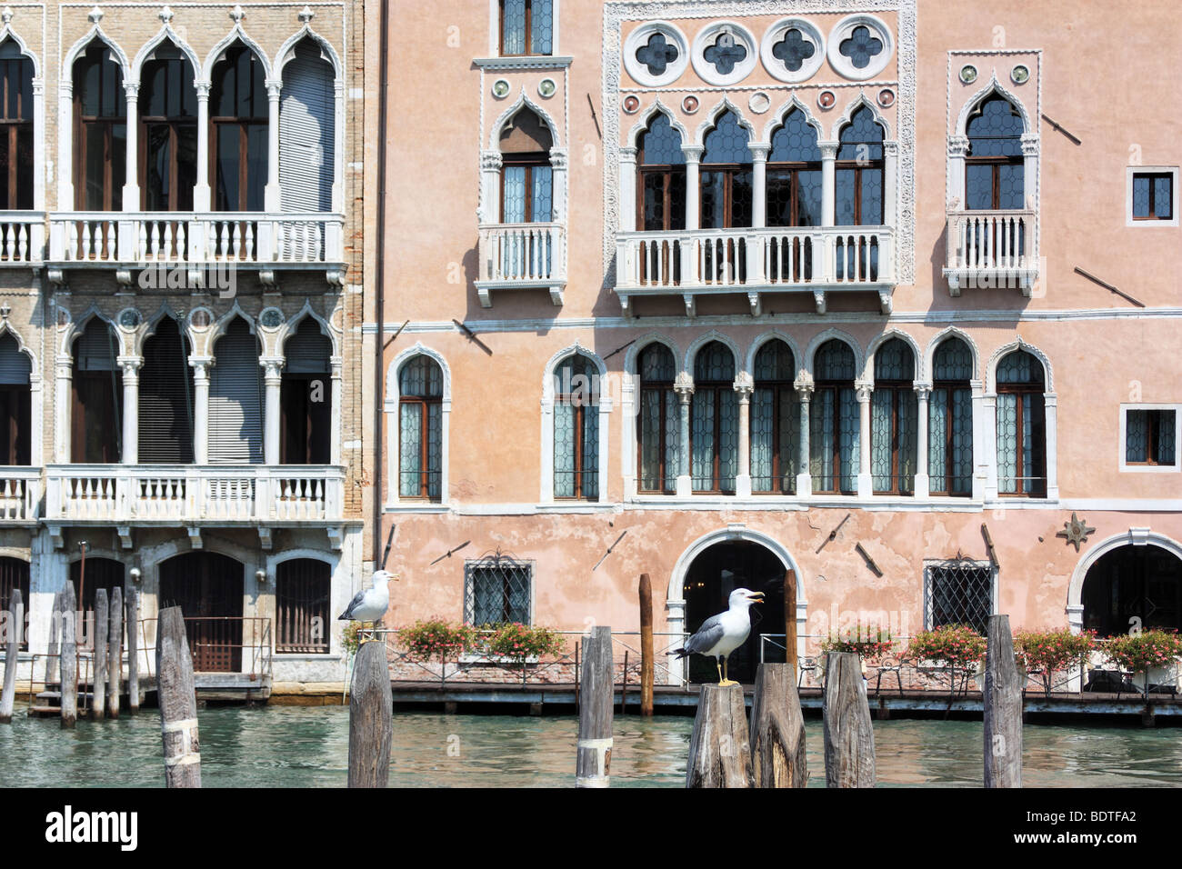 Palazzo sul Canal Grande a Venezia, Italia Foto Stock