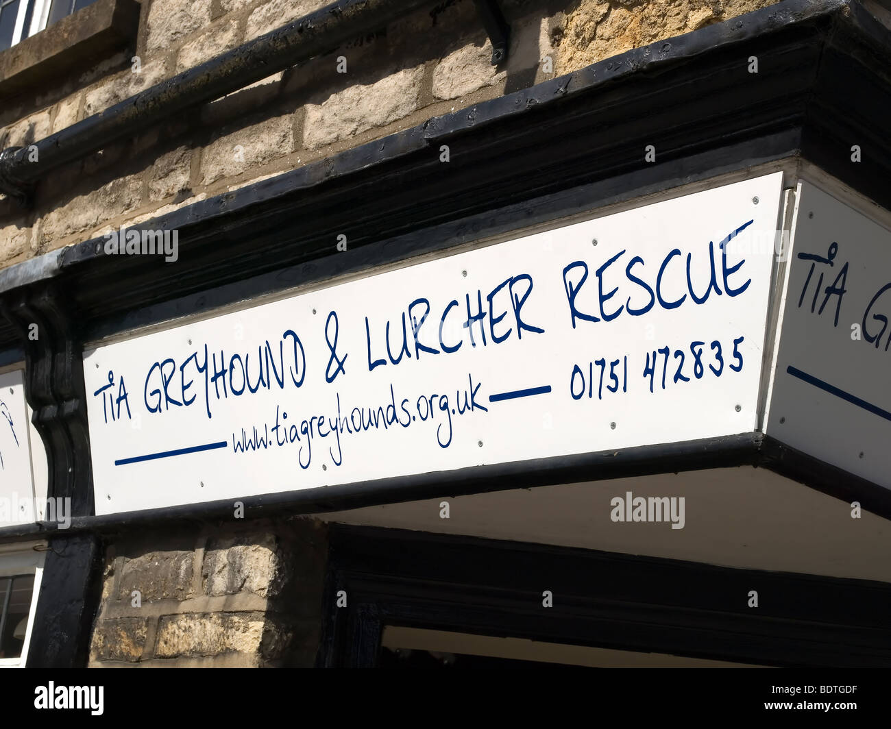 Un segno su un negozio di carità per il salvataggio del Greyhound e Lurcher cani Foto Stock